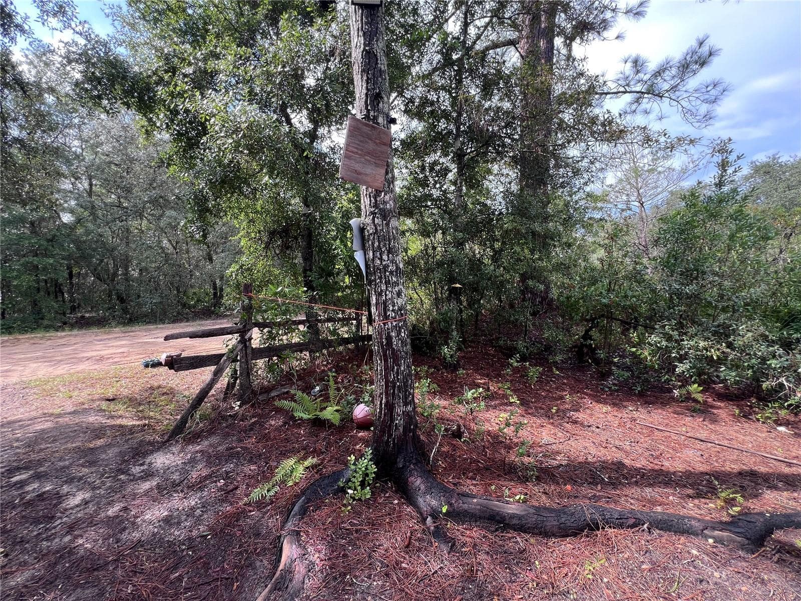 Land at 604 DEL MONACO AVE, INTERLACHEN, photo 67 of 87