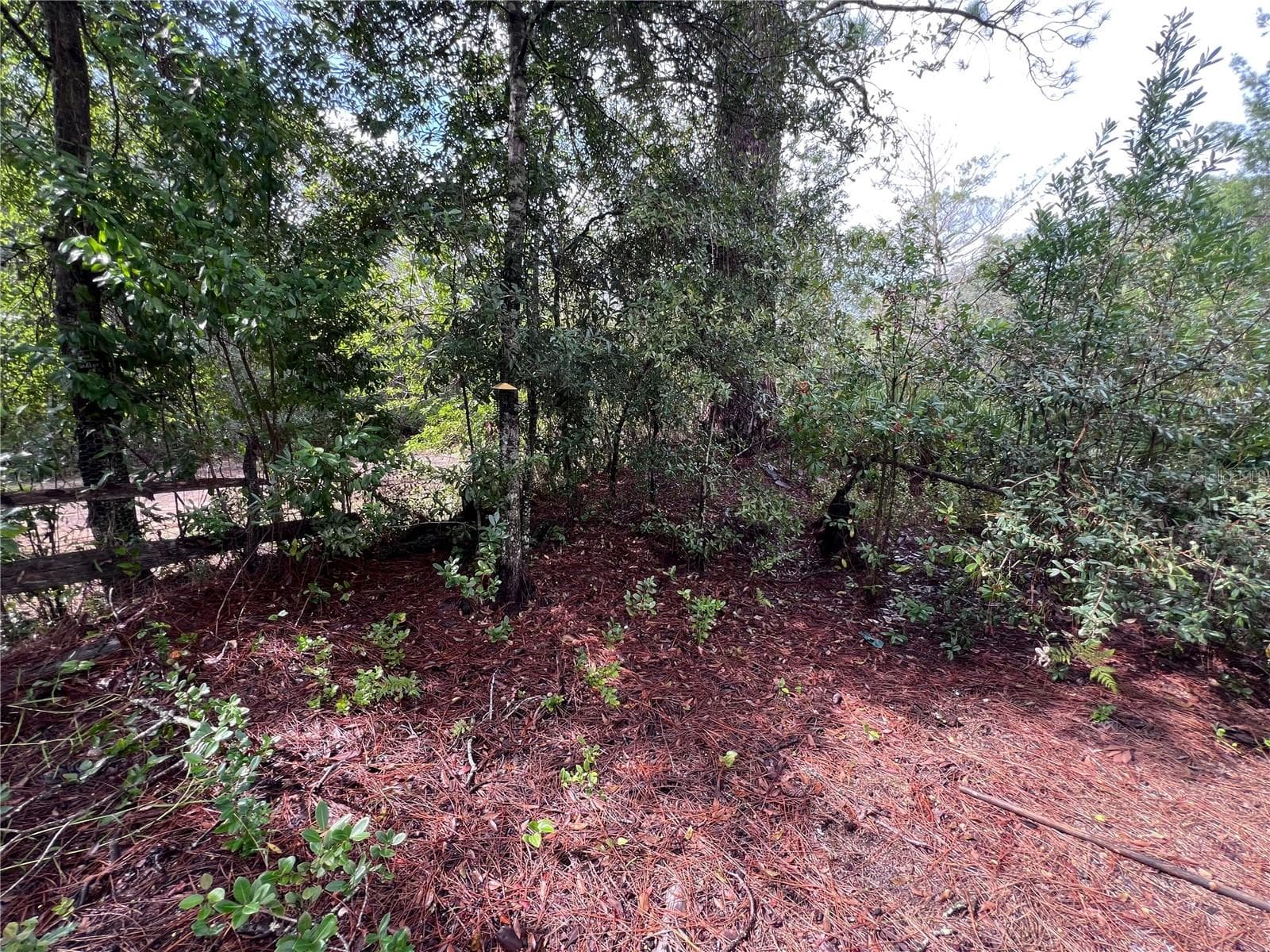 Land at 604 DEL MONACO AVE, INTERLACHEN, photo 72 of 87