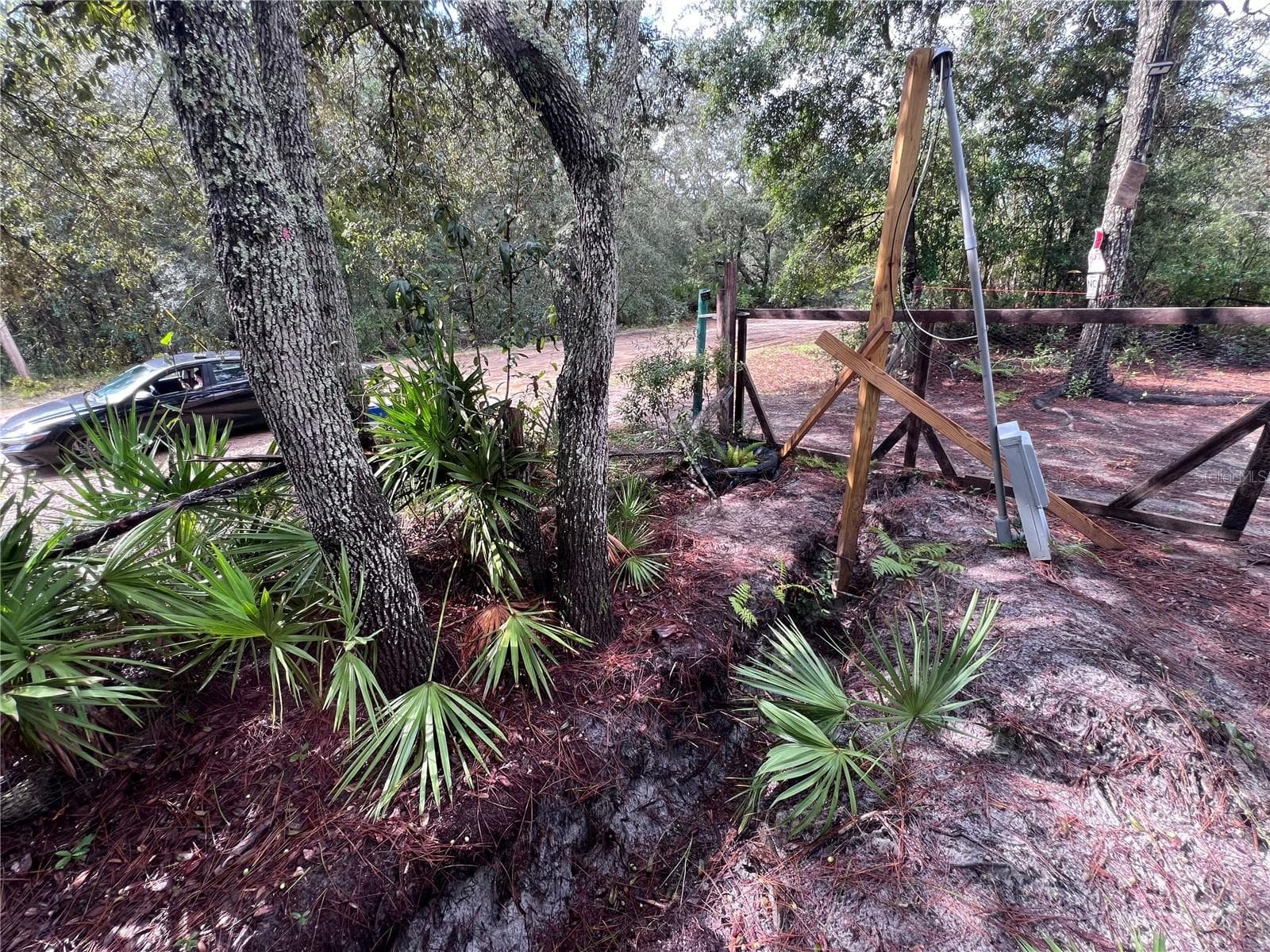 Land at 604 DEL MONACO AVE, INTERLACHEN, photo 78 of 87