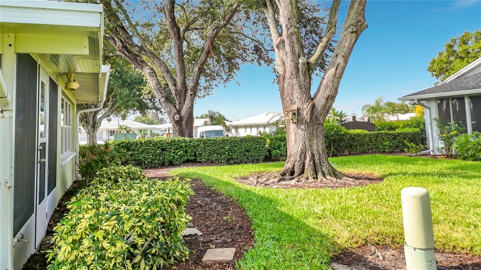 Back Yard - 4547 FERN DR, BRADENTON