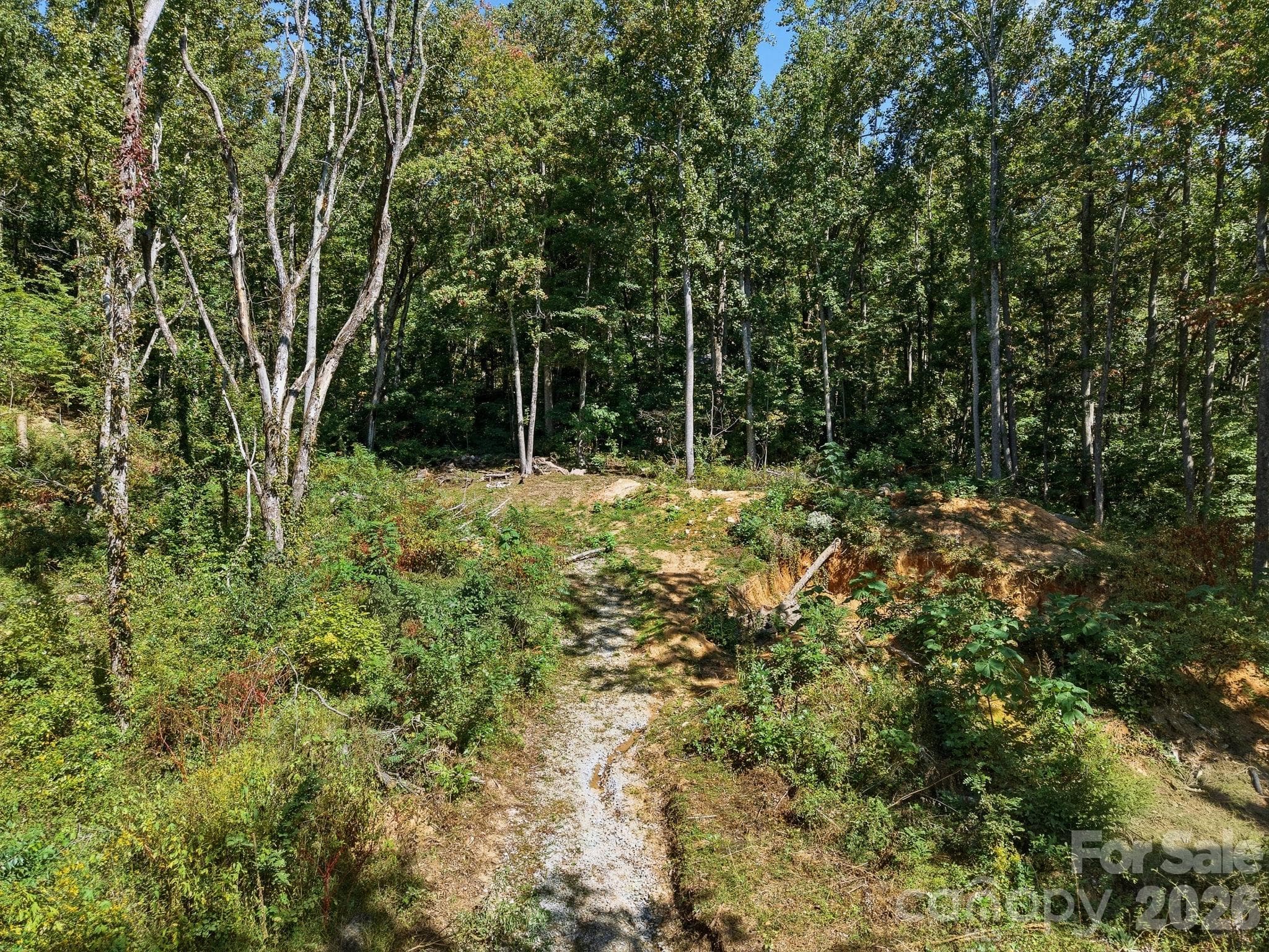 Lot at 6 Pioneer Lane, Hendersonville, photo 7 of 27