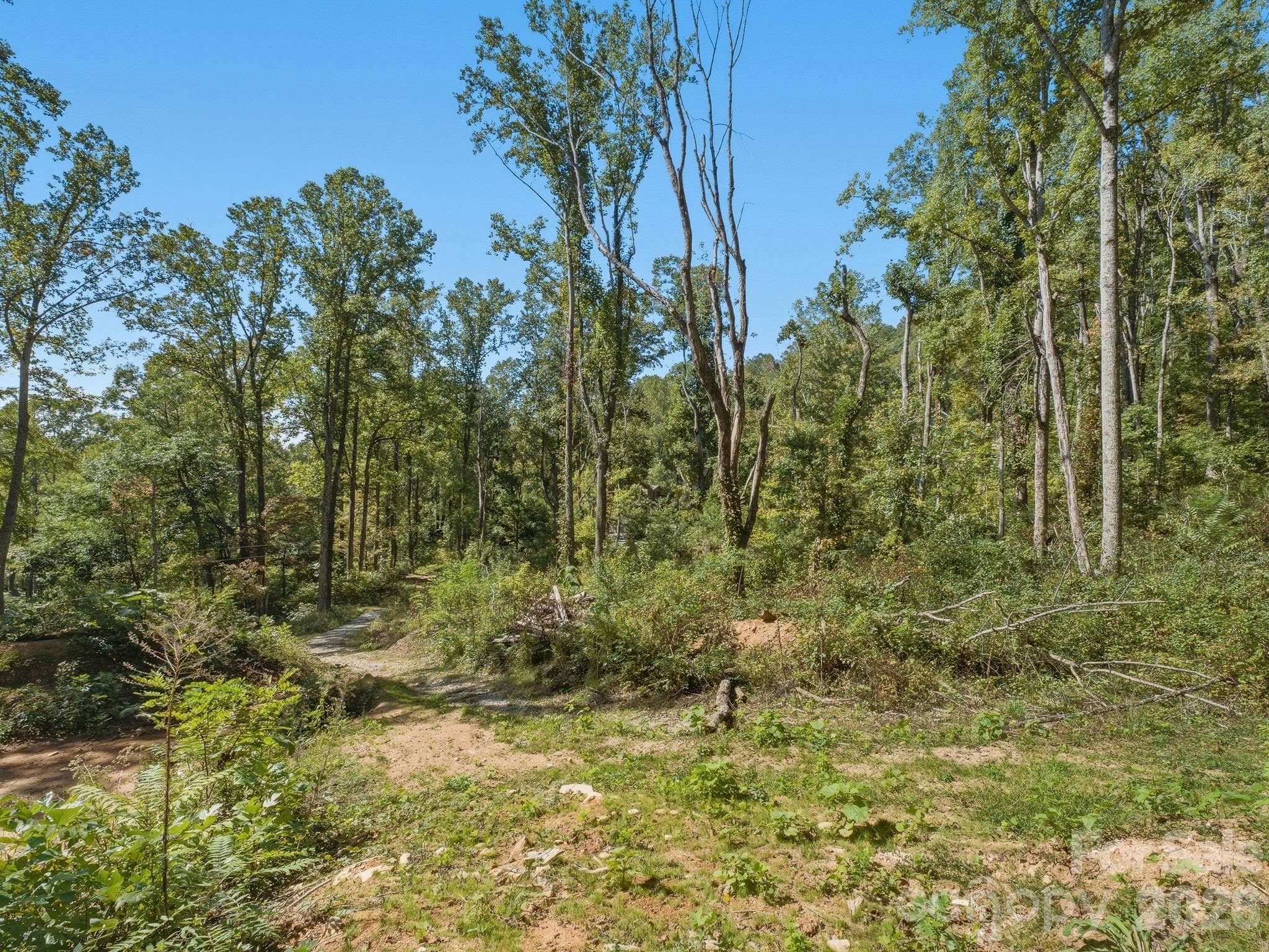 Lot at 6 Pioneer Lane, Hendersonville, photo 20 of 27