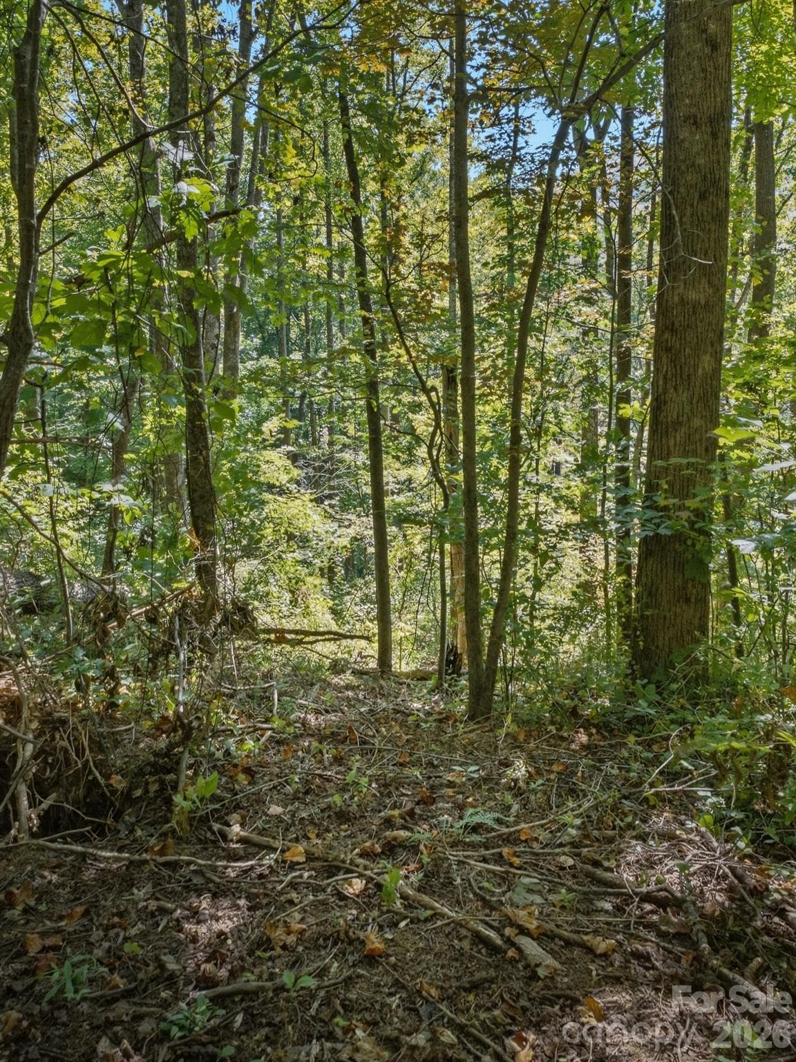 Lot at 6 Pioneer Lane, Hendersonville, photo 27 of 27
