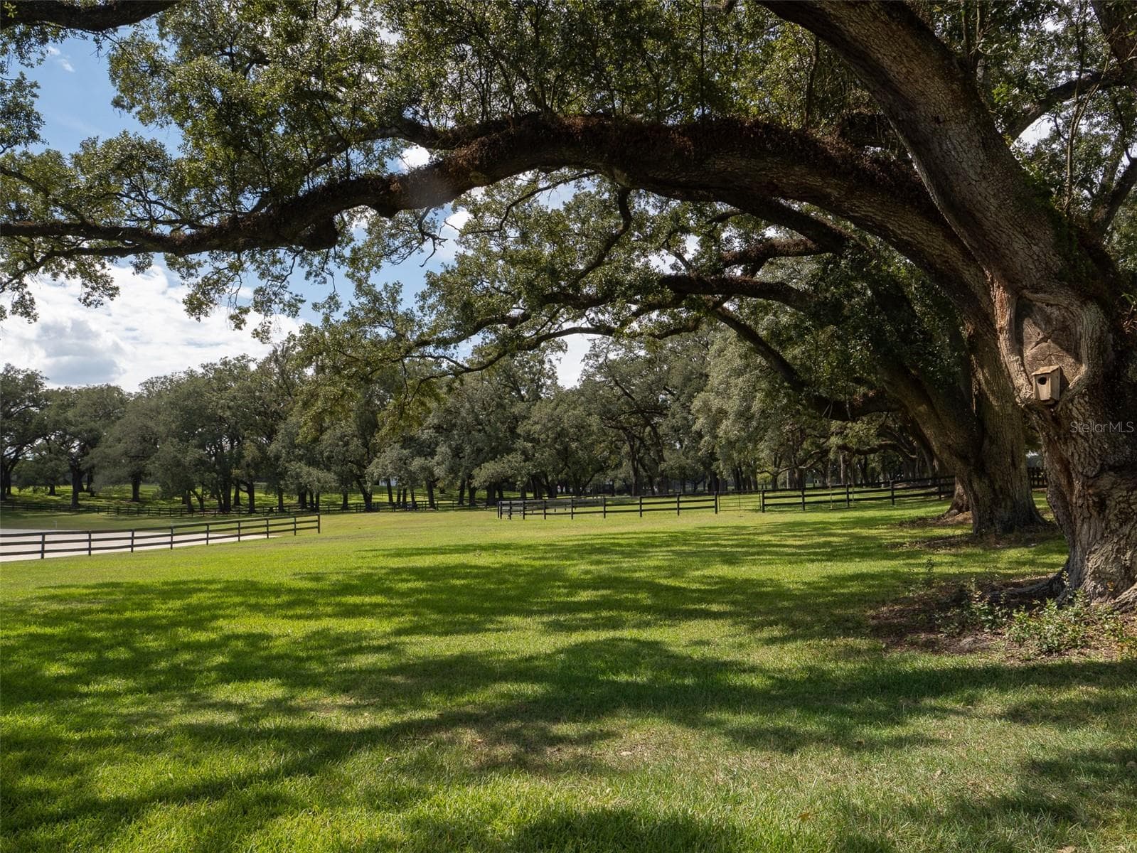 Farm at 10500 NW 60TH AVE, OCALA, photo 47 of 52