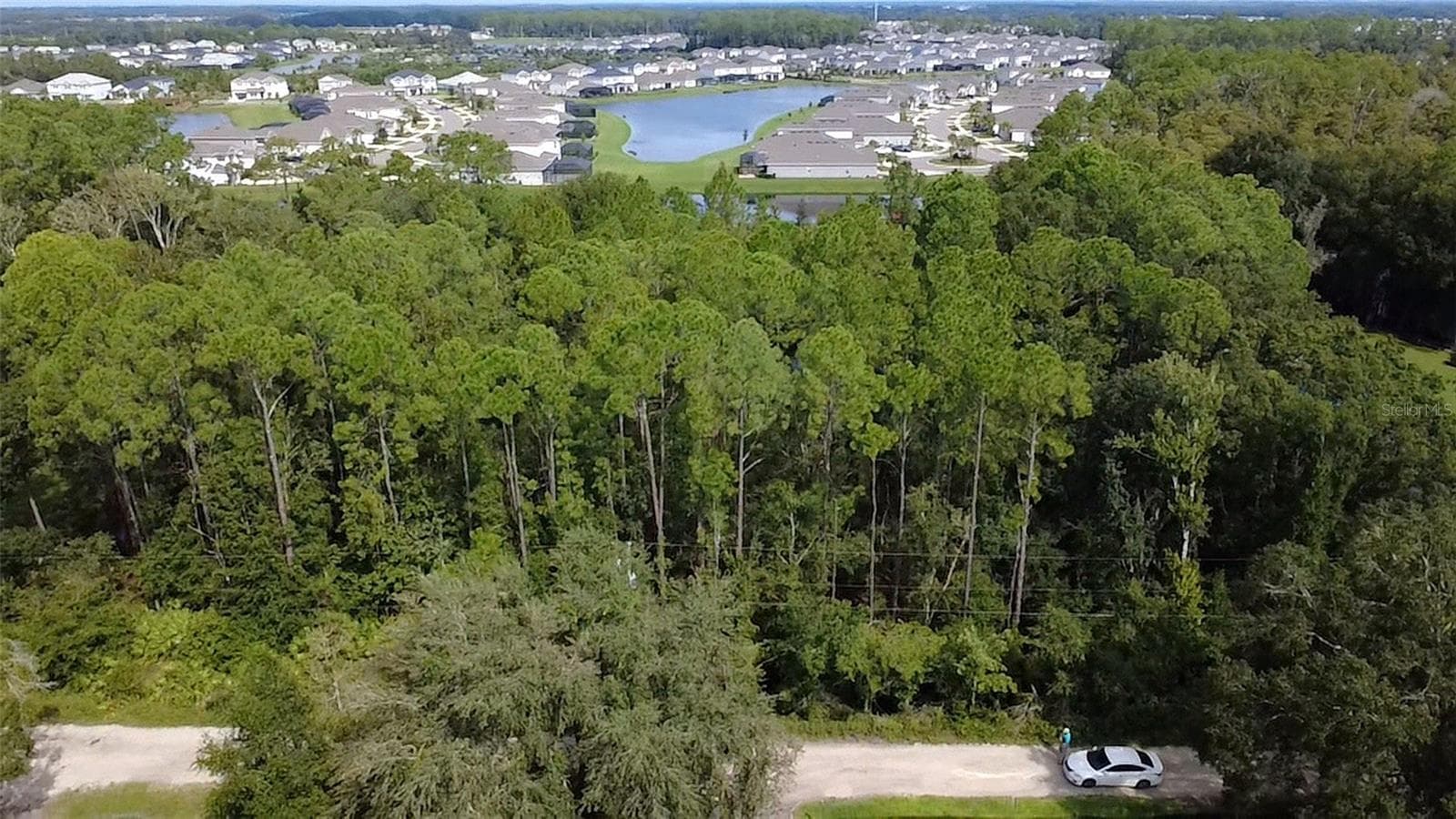 Land at 0 BETTS DR, WESLEY CHAPEL, photo 4 of 6