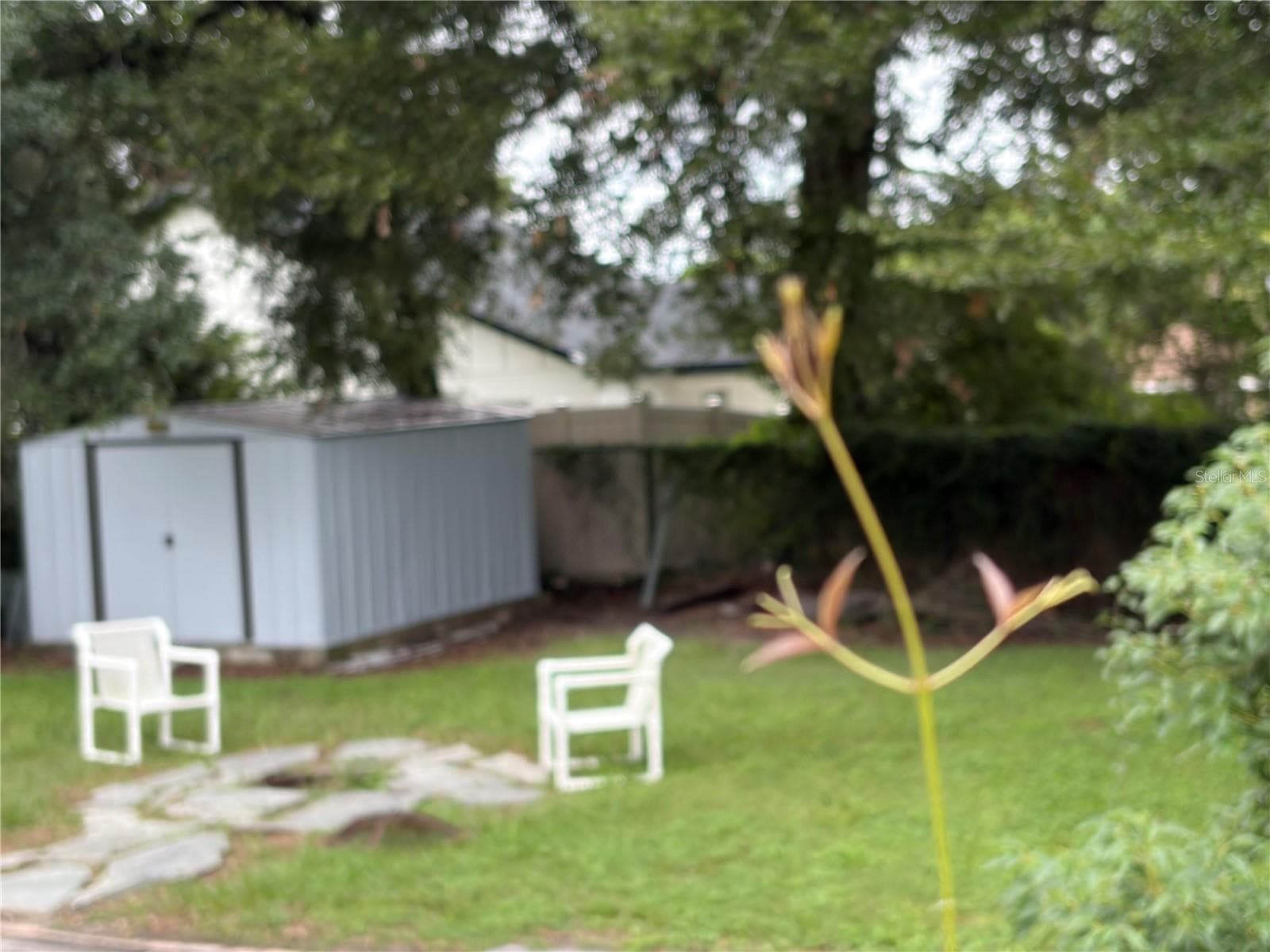 Backyard showing shed - 1199 KING AVE, LAKELAND