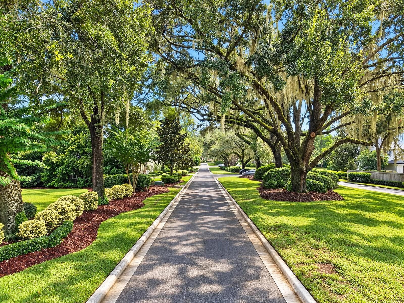 Beautiful street leading to the house - 3912 SW 88TH ST, GAINESVILLE