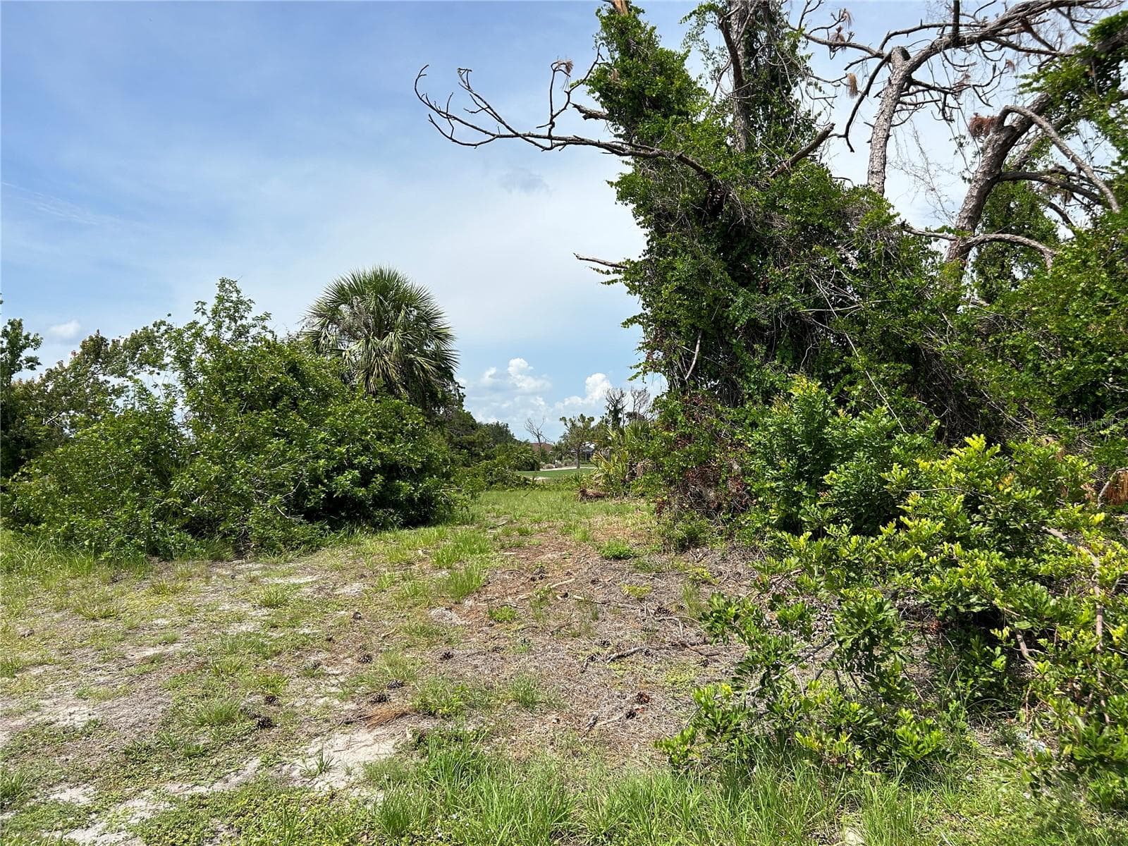Land at 15 PINEHURST RD, ROTONDA WEST, photo 20 of 24