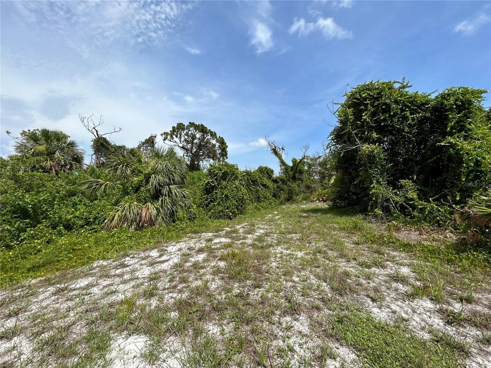Land at 15 PINEHURST RD, ROTONDA WEST, photo 22 of 24