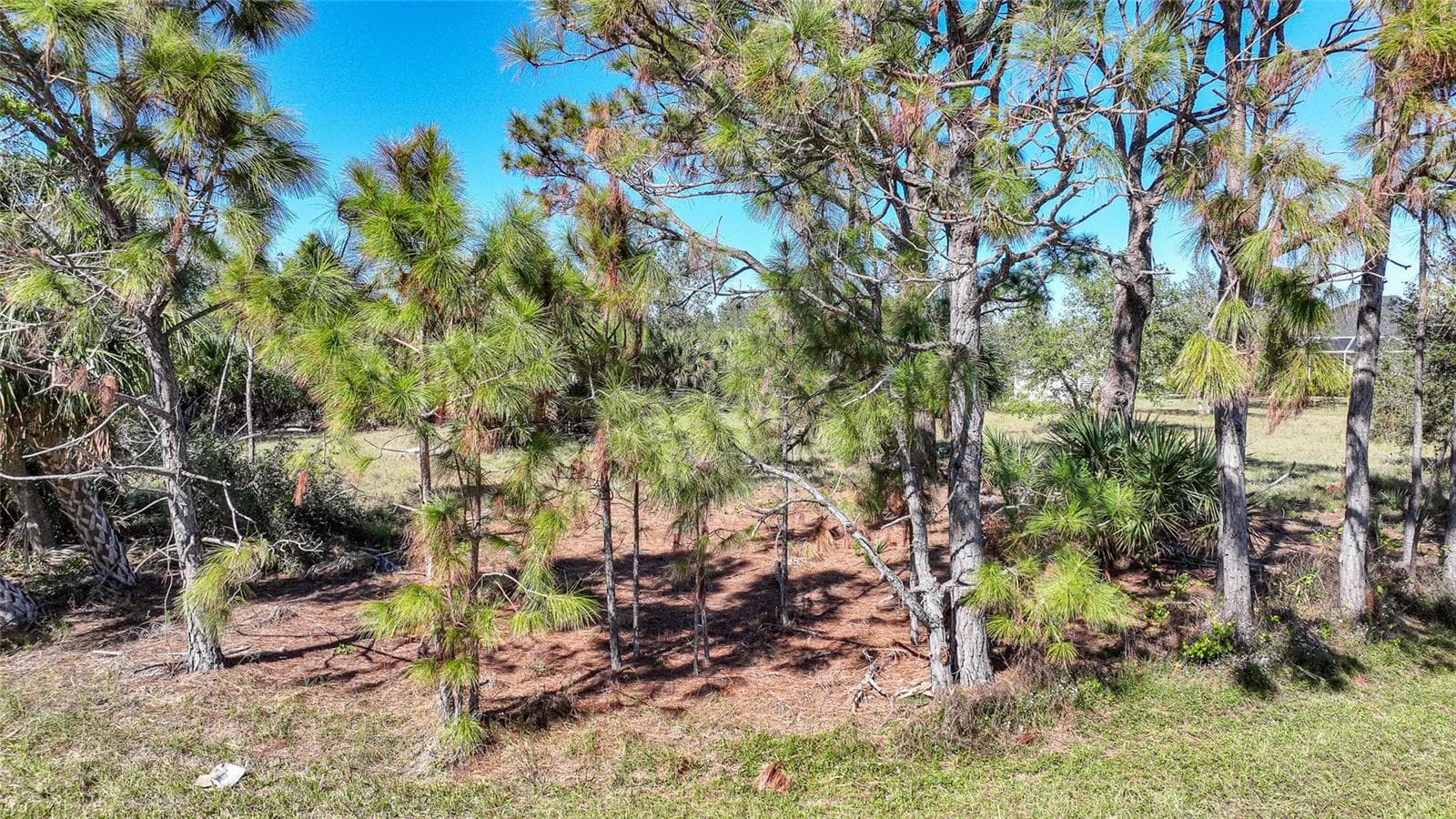 Land at 9531 & 9551 HORACE CIR, PORT CHARLOTTE, photo 5 of 24