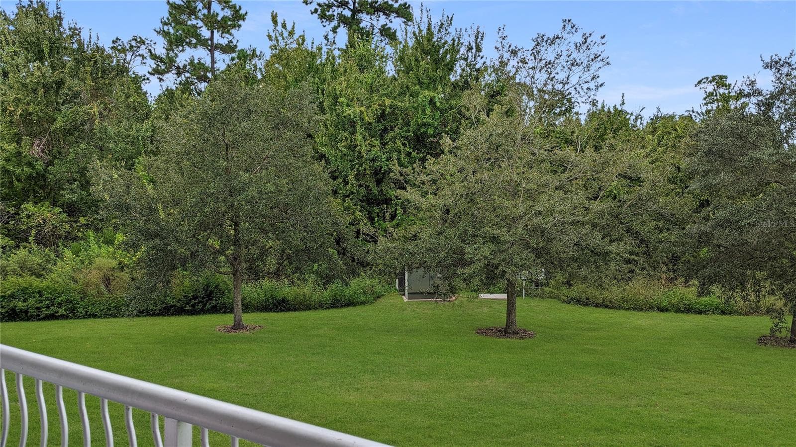 Your Actual Unit's View of Conservation Area from Your Porch! Nice! - 225 CELEBRATION PL #212, KISSIMMEE