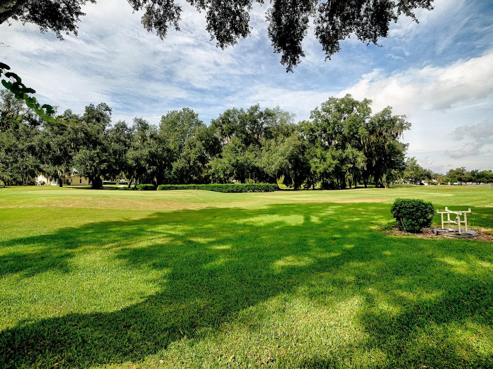JUST BEAUTIFUL - 32543 OAK PARK DR, LEESBURG