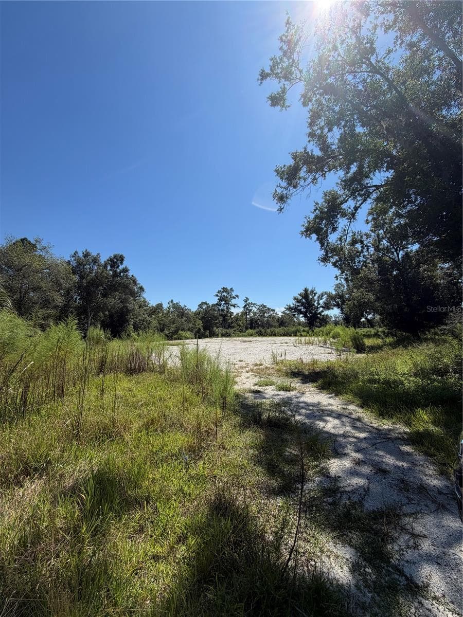 Land at 1428 E CHARLES ST, ARCADIA, photo 2 of 3