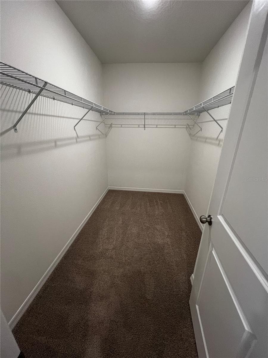 Primary walk in closet - 12927 RED DEER PL, PARRISH