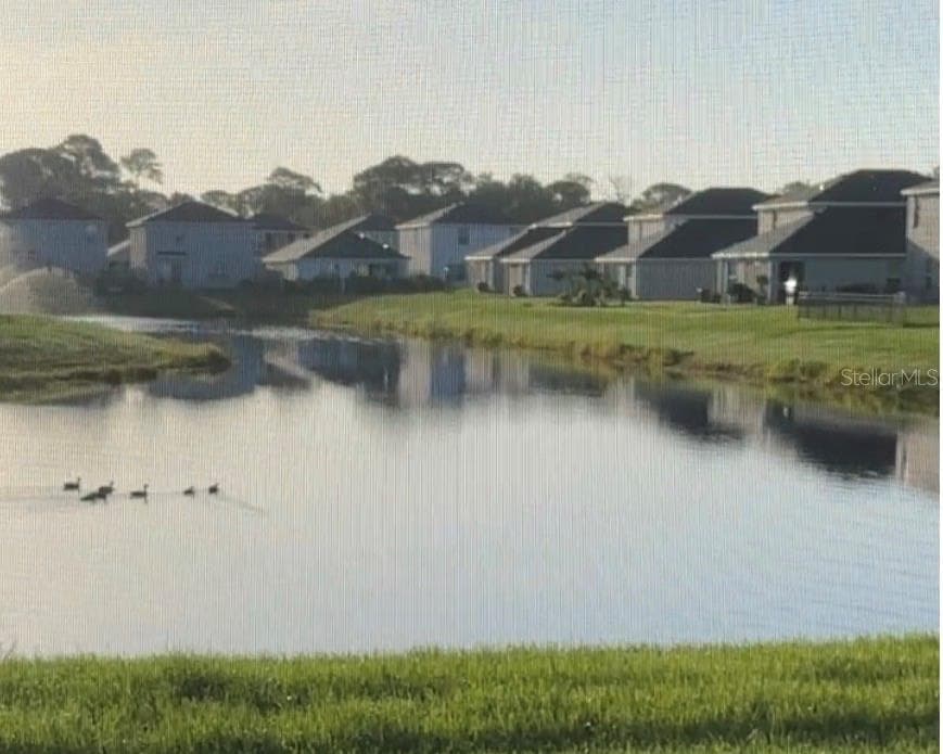Single Family Residence at 3121 ROCK SOUND ST, BRADENTON, photo 4 of 94