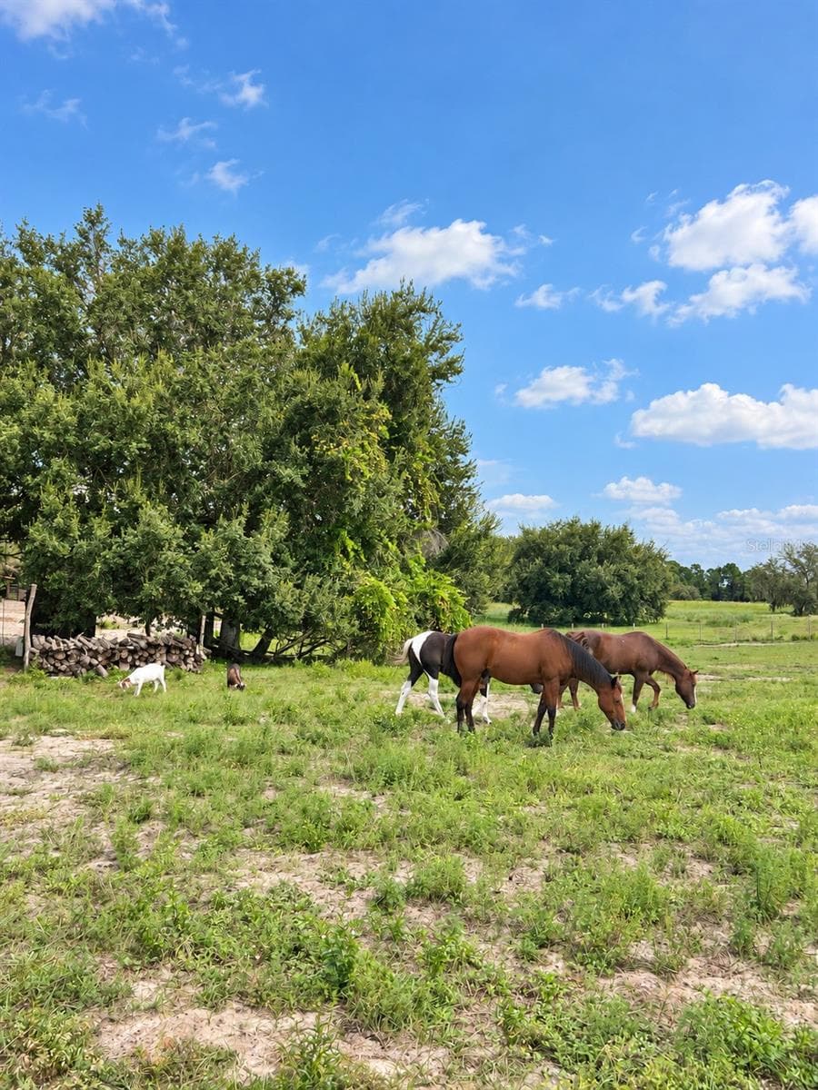 Land at MAMMOTH GROVE RD, LAKE WALES, photo 14 of 31