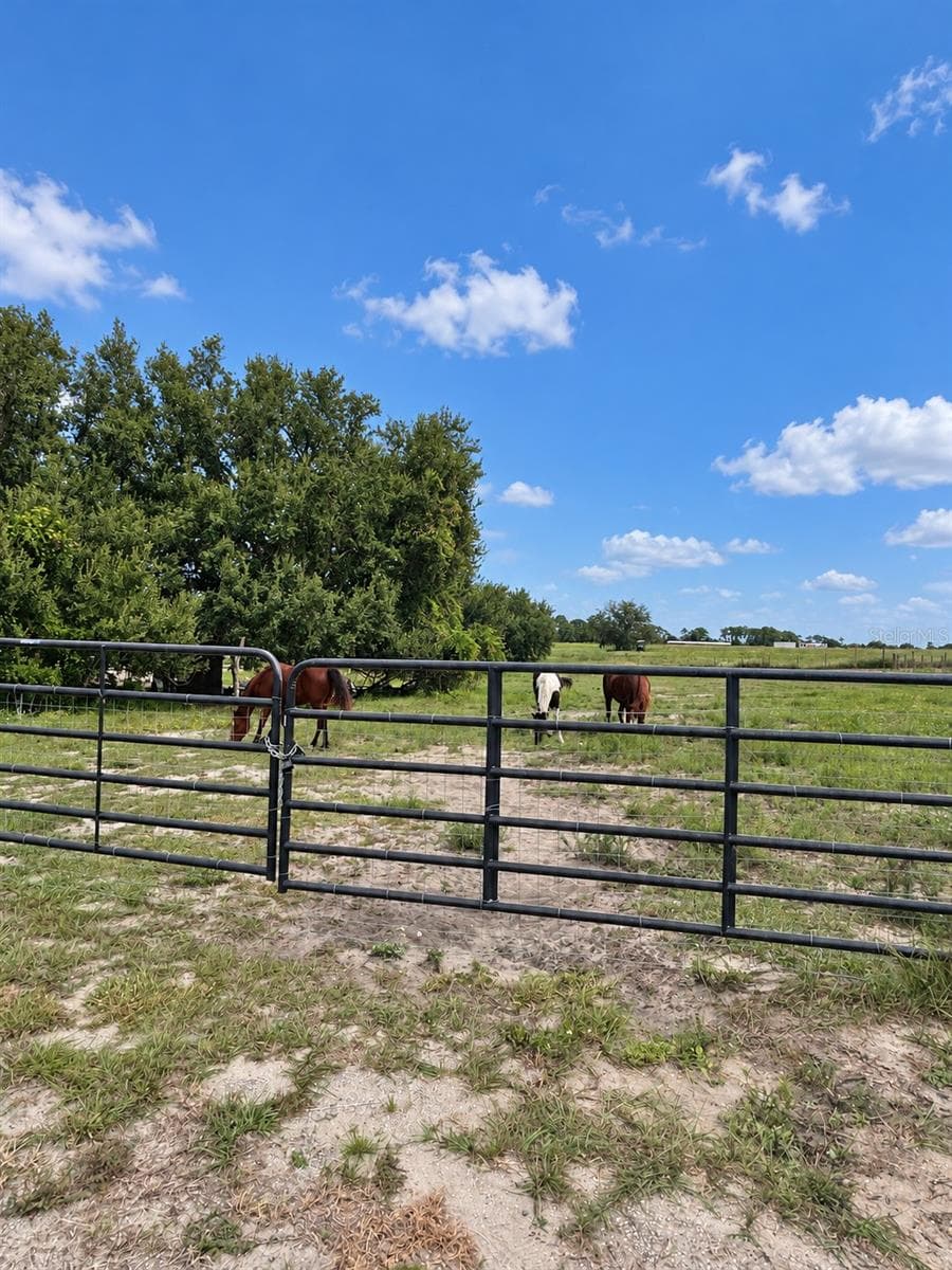 Land at MAMMOTH GROVE RD, LAKE WALES, photo 17 of 31