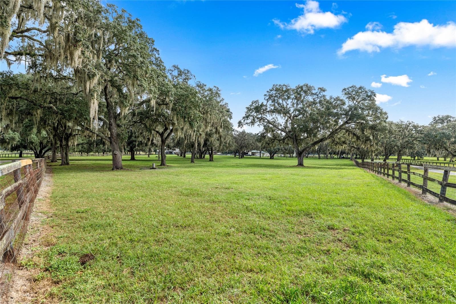 Farm at 12330 NW 35TH ST, OCALA, photo 7 of 74