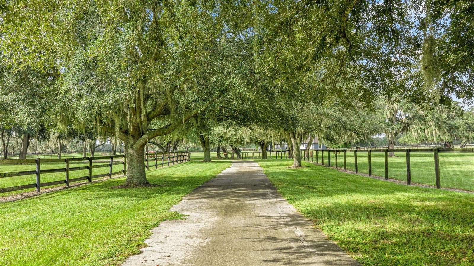 Farm at 12330 NW 35TH ST, OCALA, photo 62 of 74