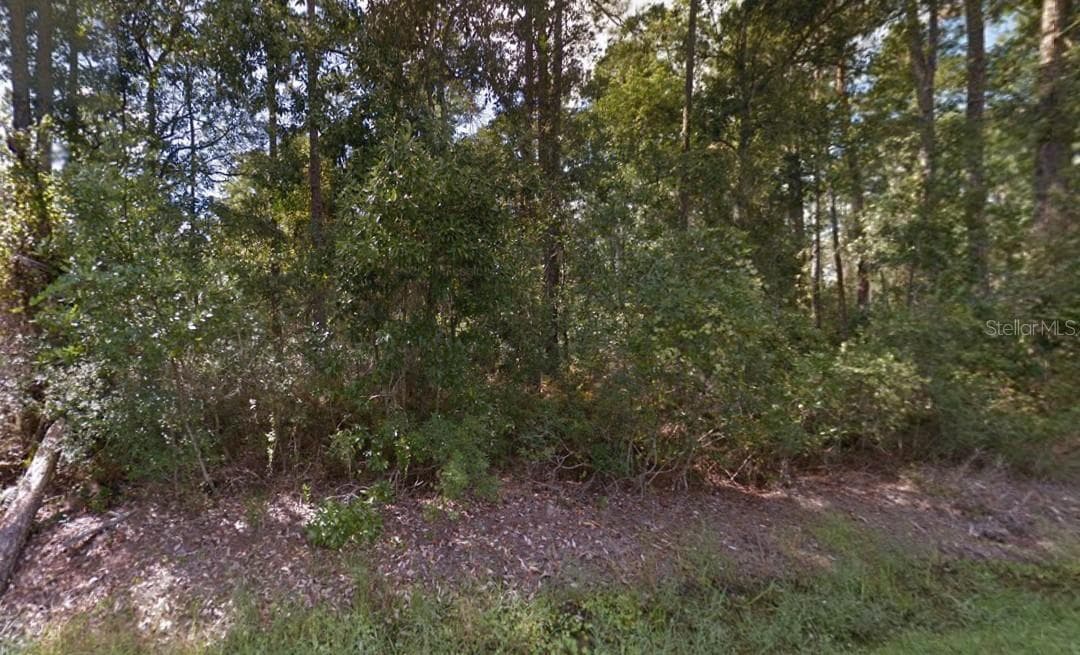 Land at 10TH AVE, DELAND, photo 4 of 5