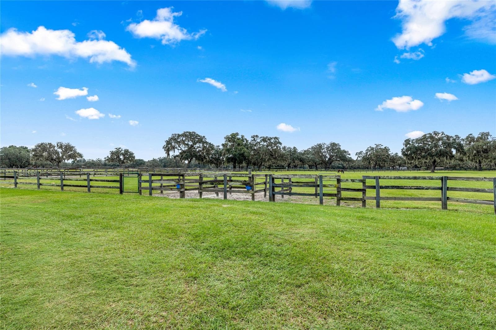 Farm at 12740 NW 35TH ST, OCALA, photo 17 of 38