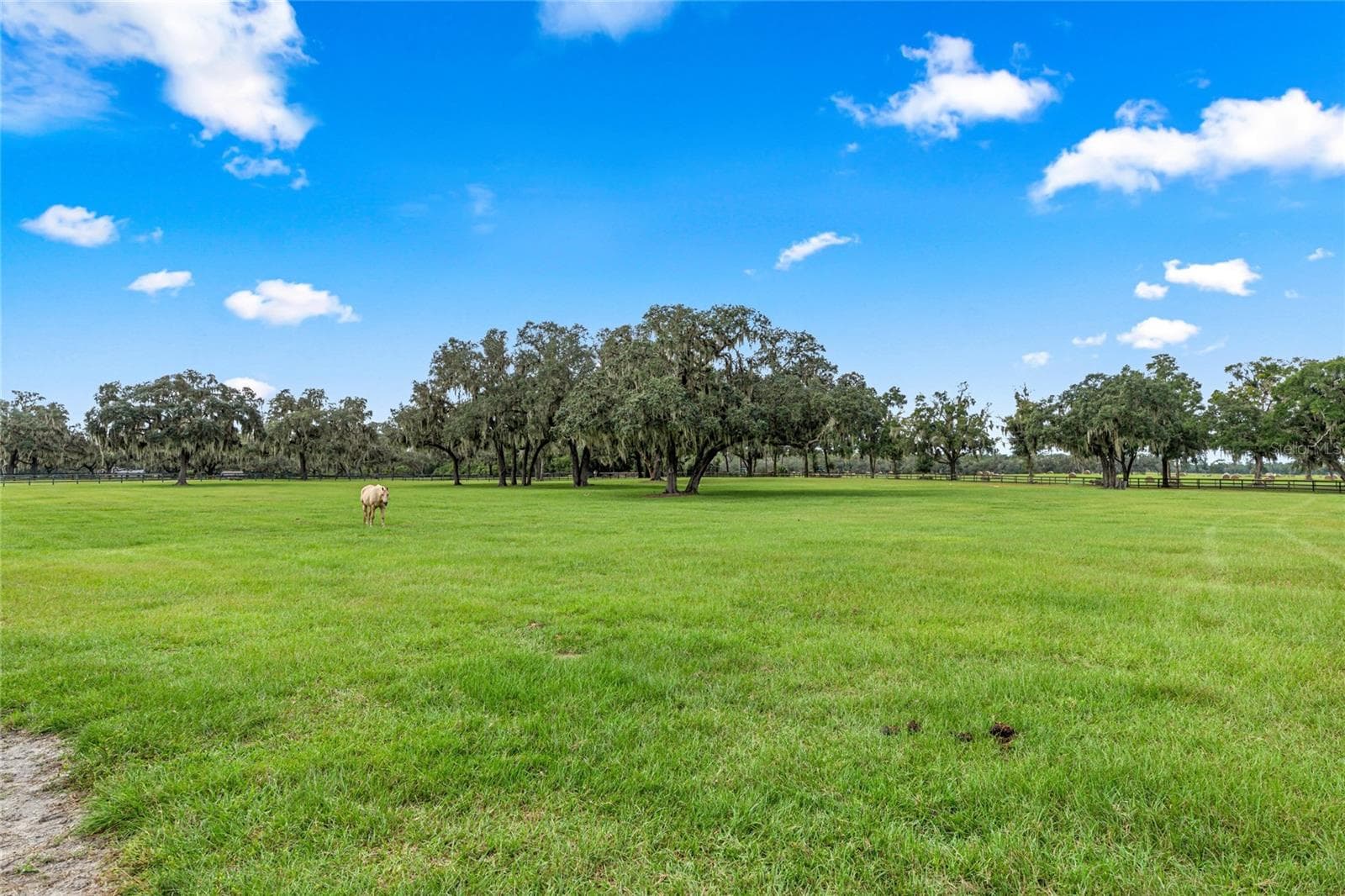 Farm at 12740 NW 35TH ST, OCALA, photo 23 of 38