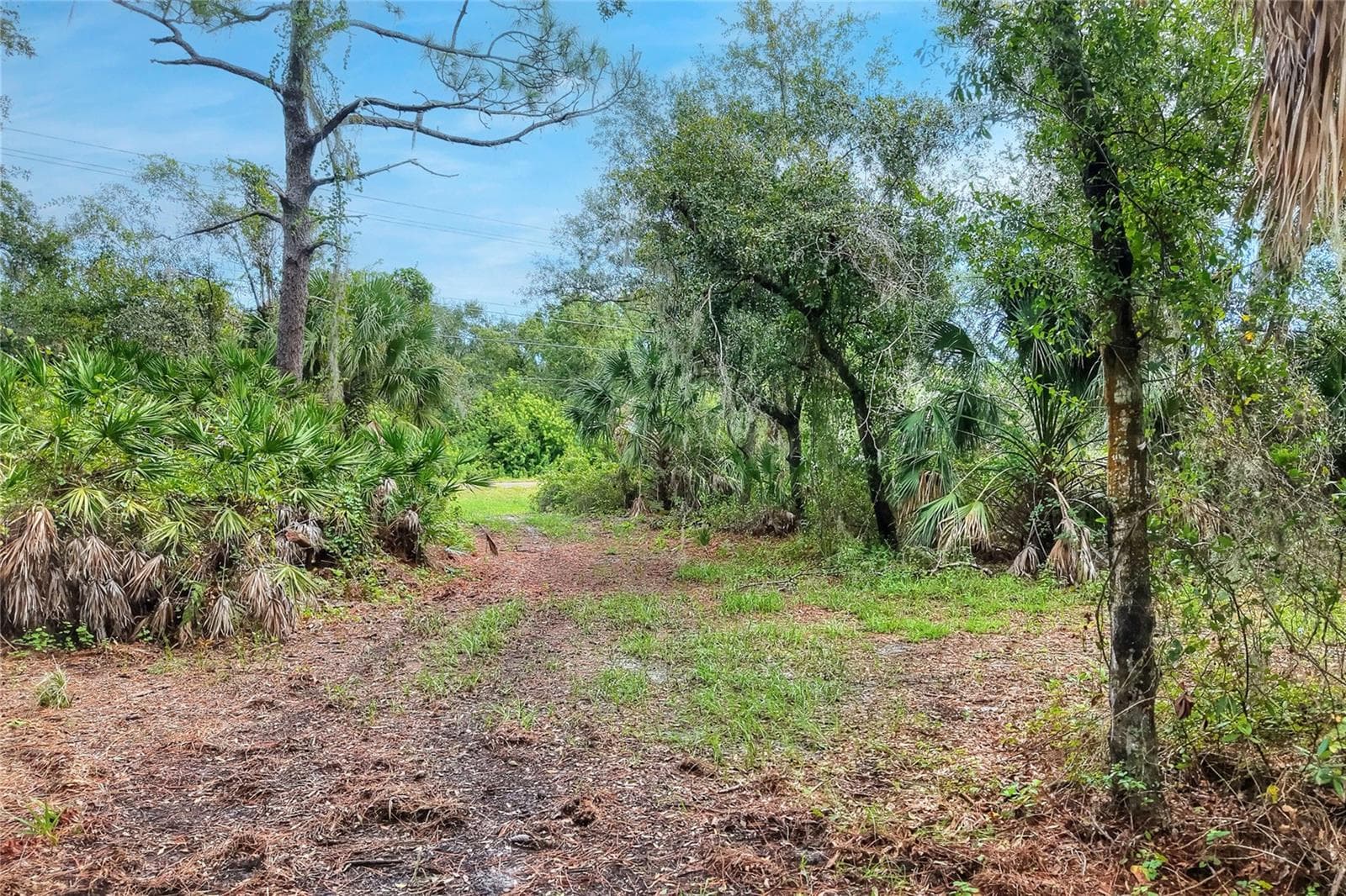 Land at VALROY RD, RUSKIN, photo 6 of 10
