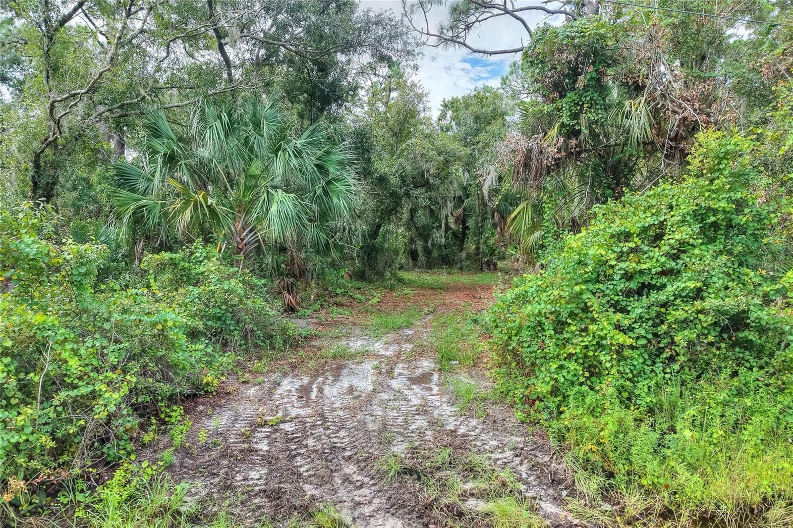 Land at VALROY RD, RUSKIN, photo 9 of 10