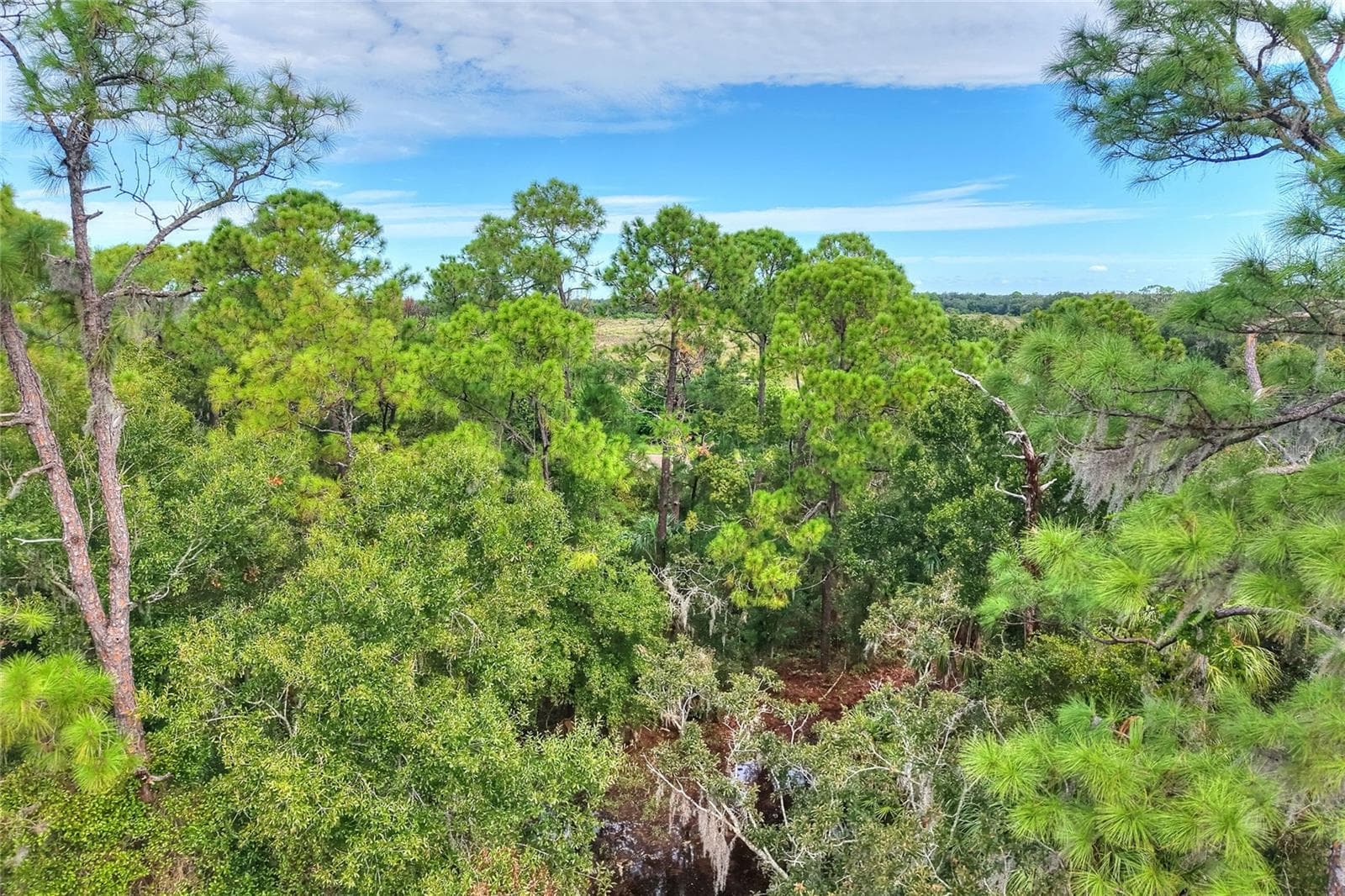Land at VALROY RD, RUSKIN, photo 10 of 10