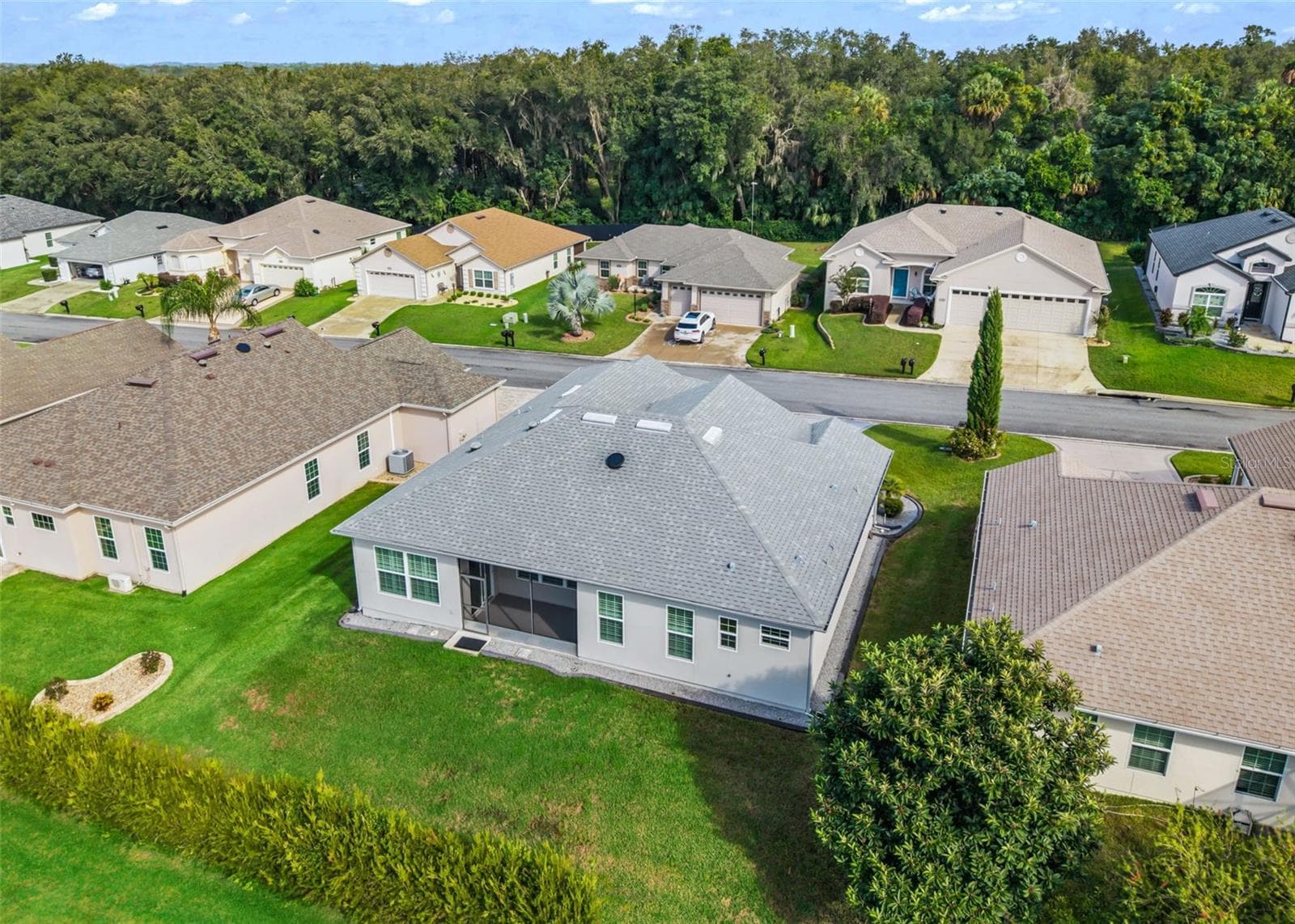 Privacy Landscaping - 11252 SE 170TH PL, SUMMERFIELD