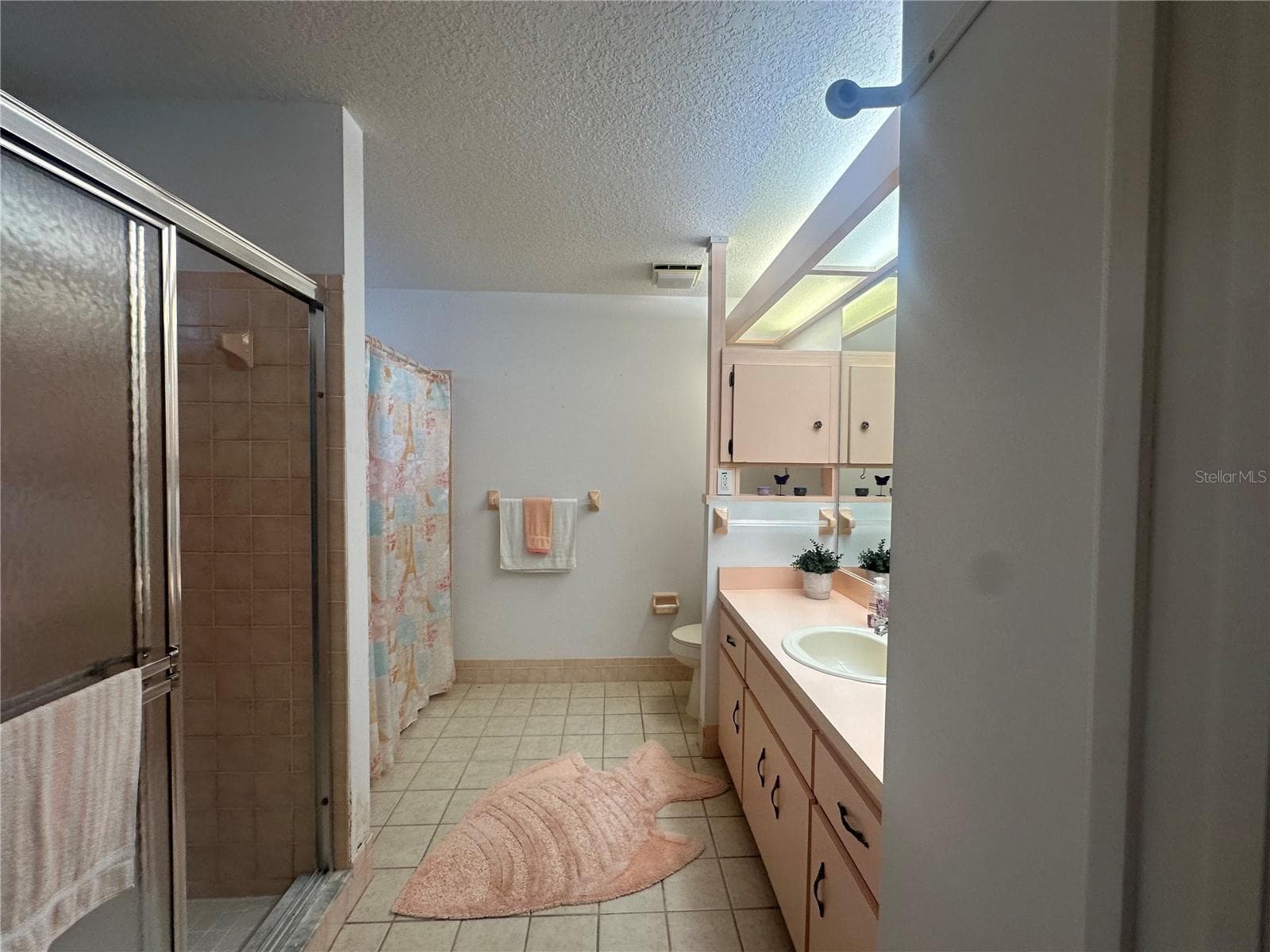 Master Bathroom - 10816 SW 83RD AVE, OCALA