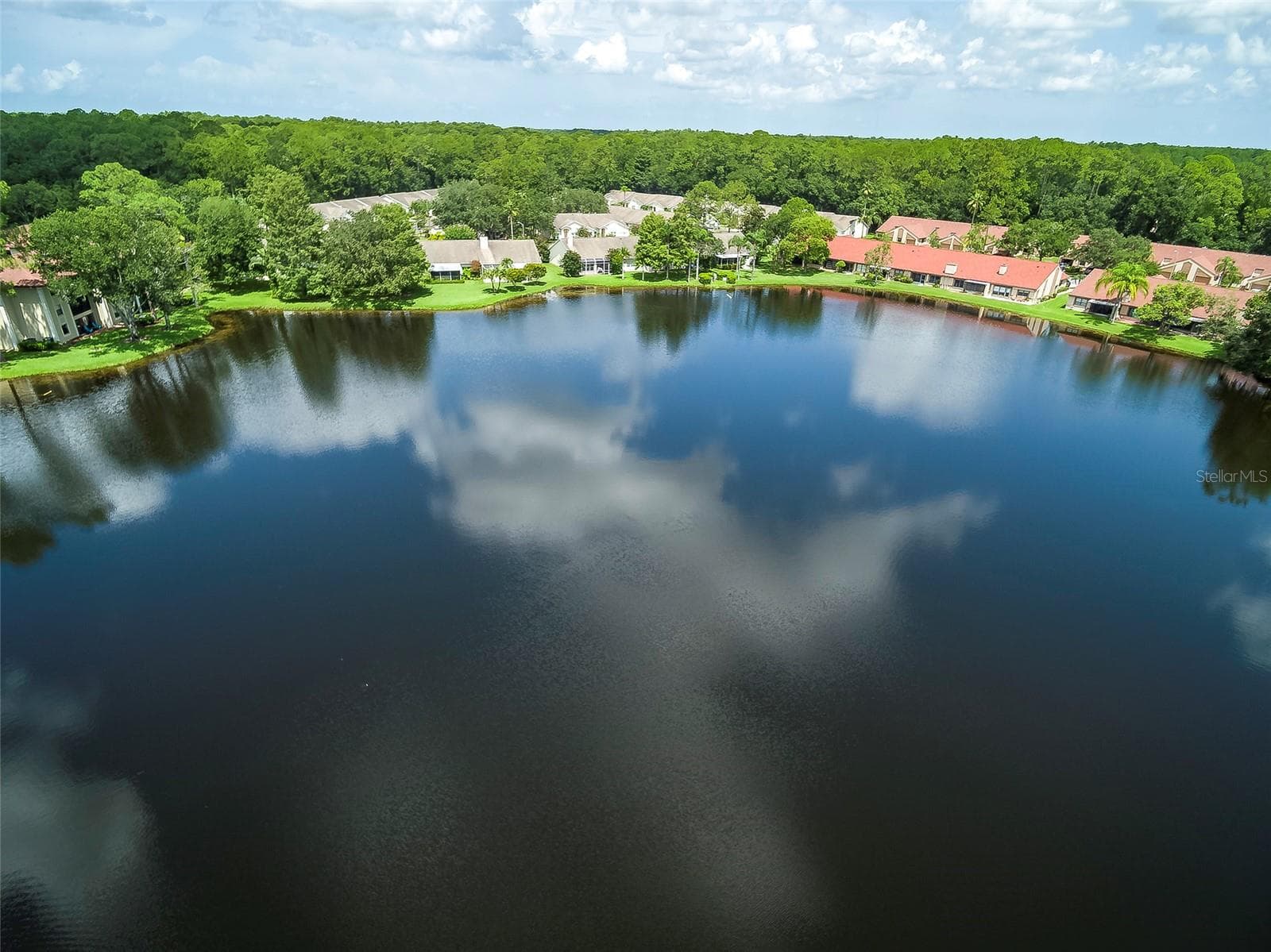 Condominium at 3399 MERMOOR DR #210, PALM HARBOR, photo 29 of 30