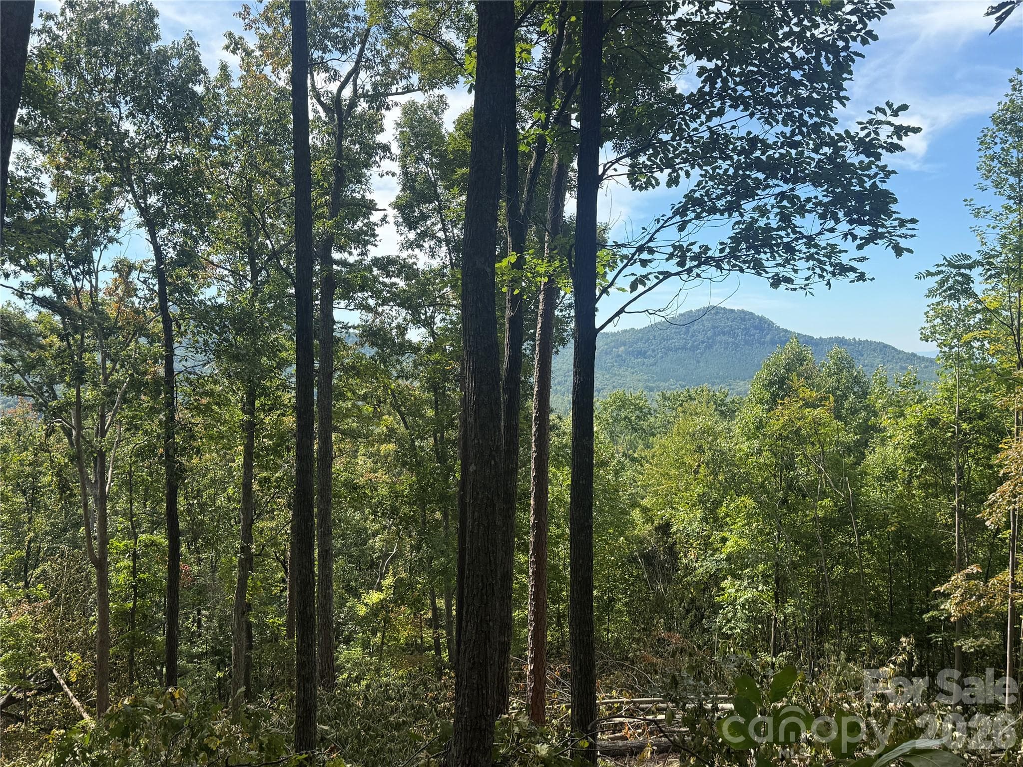 Lot at V/L Scenic Vista Drive, Nebo, photo 5 of 24