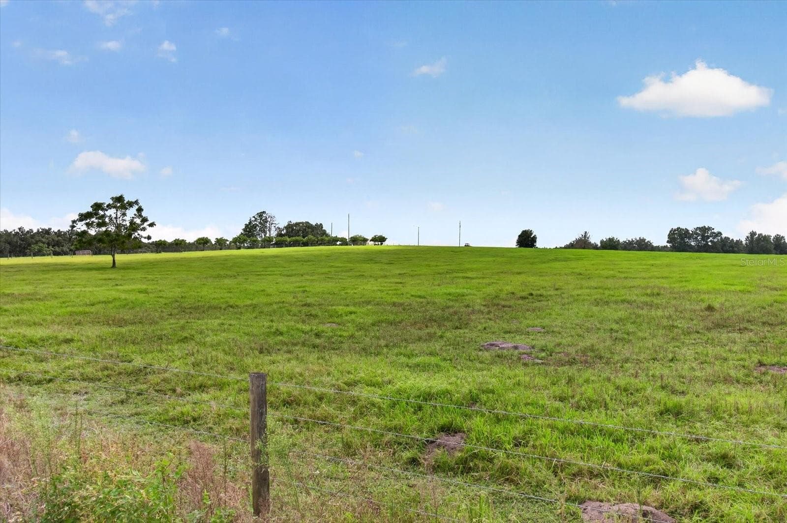 Land at 33610 KIEFER RD, WESLEY CHAPEL, photo 4 of 31