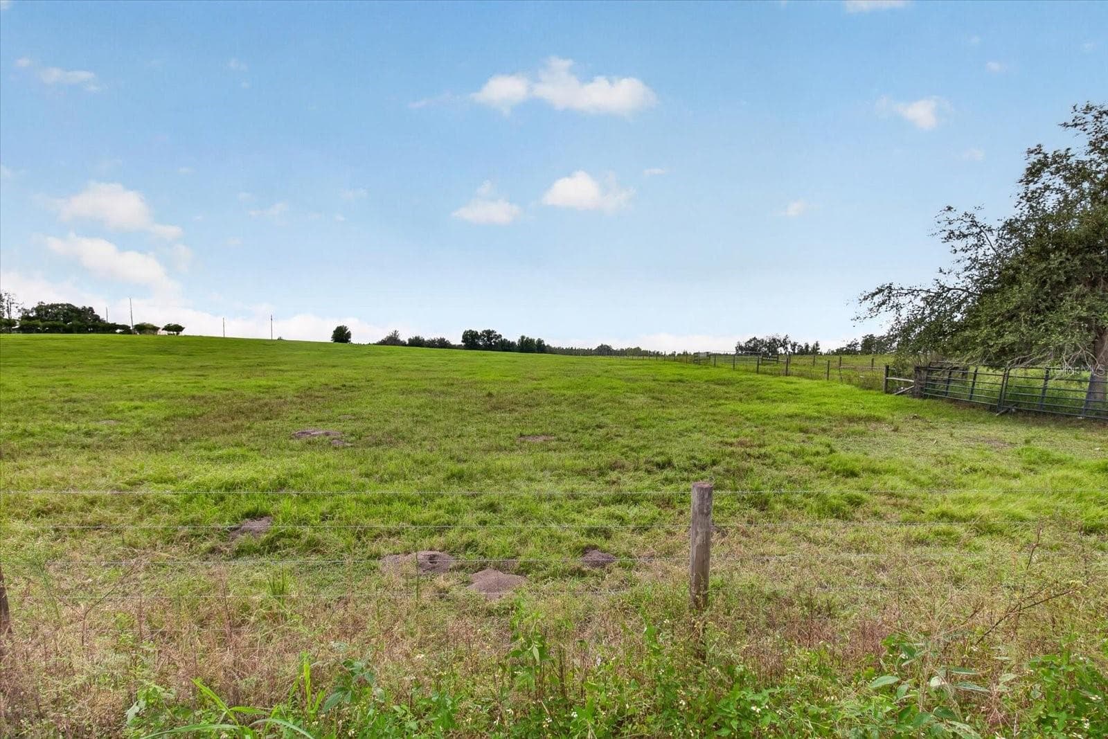 Land at 33610 KIEFER RD, WESLEY CHAPEL, photo 18 of 31