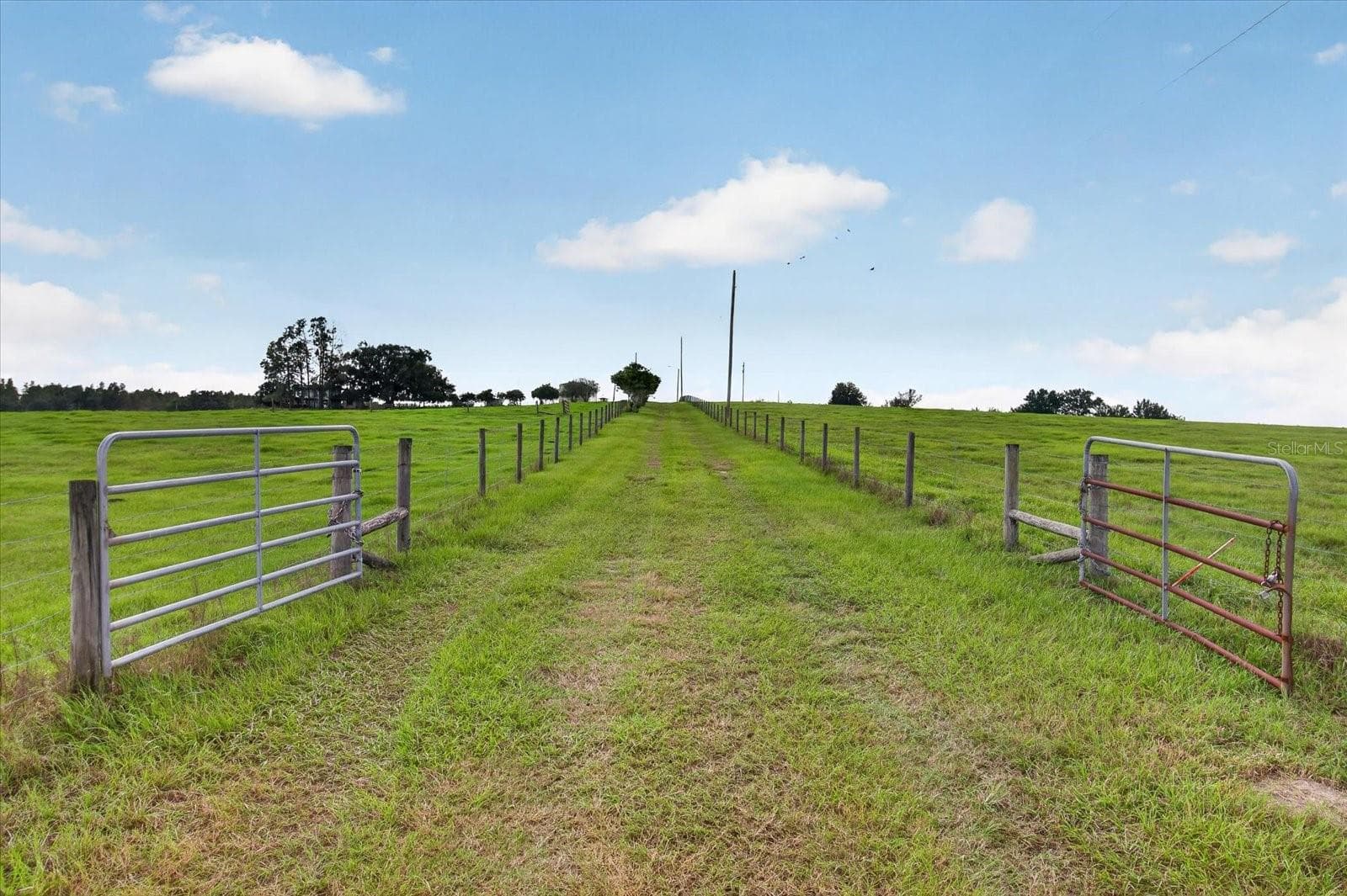 Land at 33610 KIEFER RD, WESLEY CHAPEL, photo 20 of 31