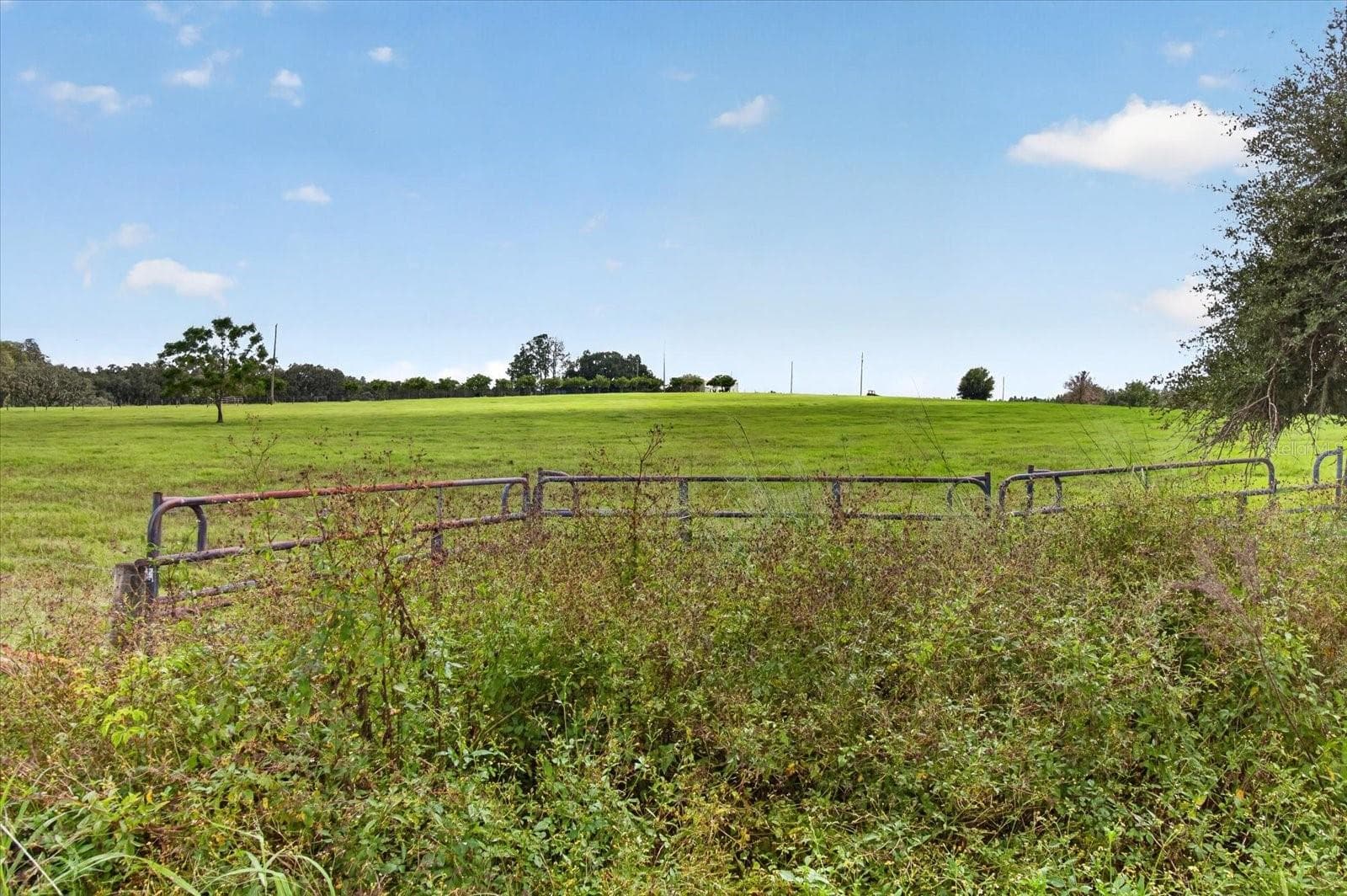 Land at 33610 KIEFER RD, WESLEY CHAPEL, photo 21 of 31
