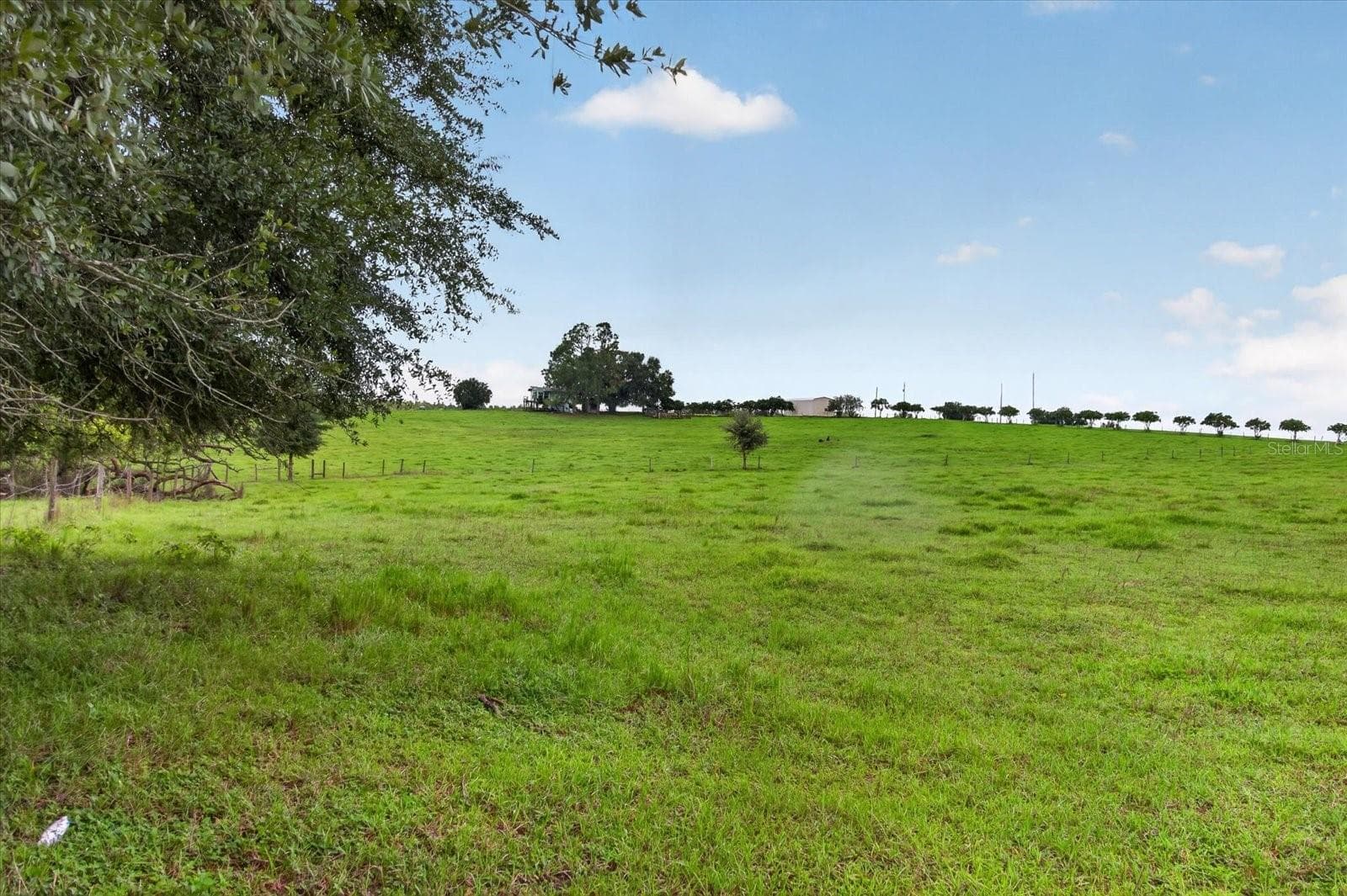 Land at 33610 KIEFER RD, WESLEY CHAPEL, photo 23 of 31