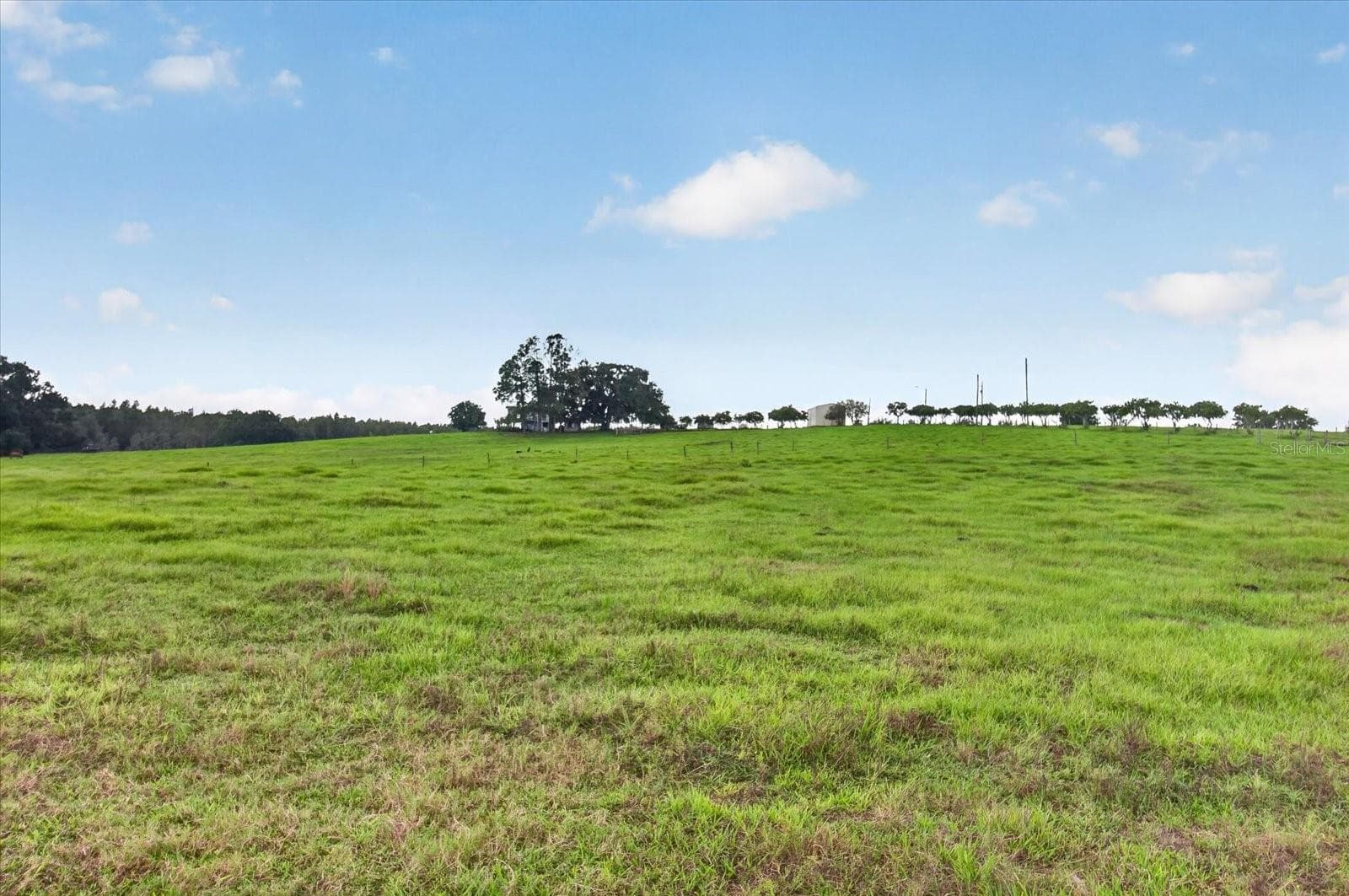 Land at 33610 KIEFER RD, WESLEY CHAPEL, photo 25 of 31