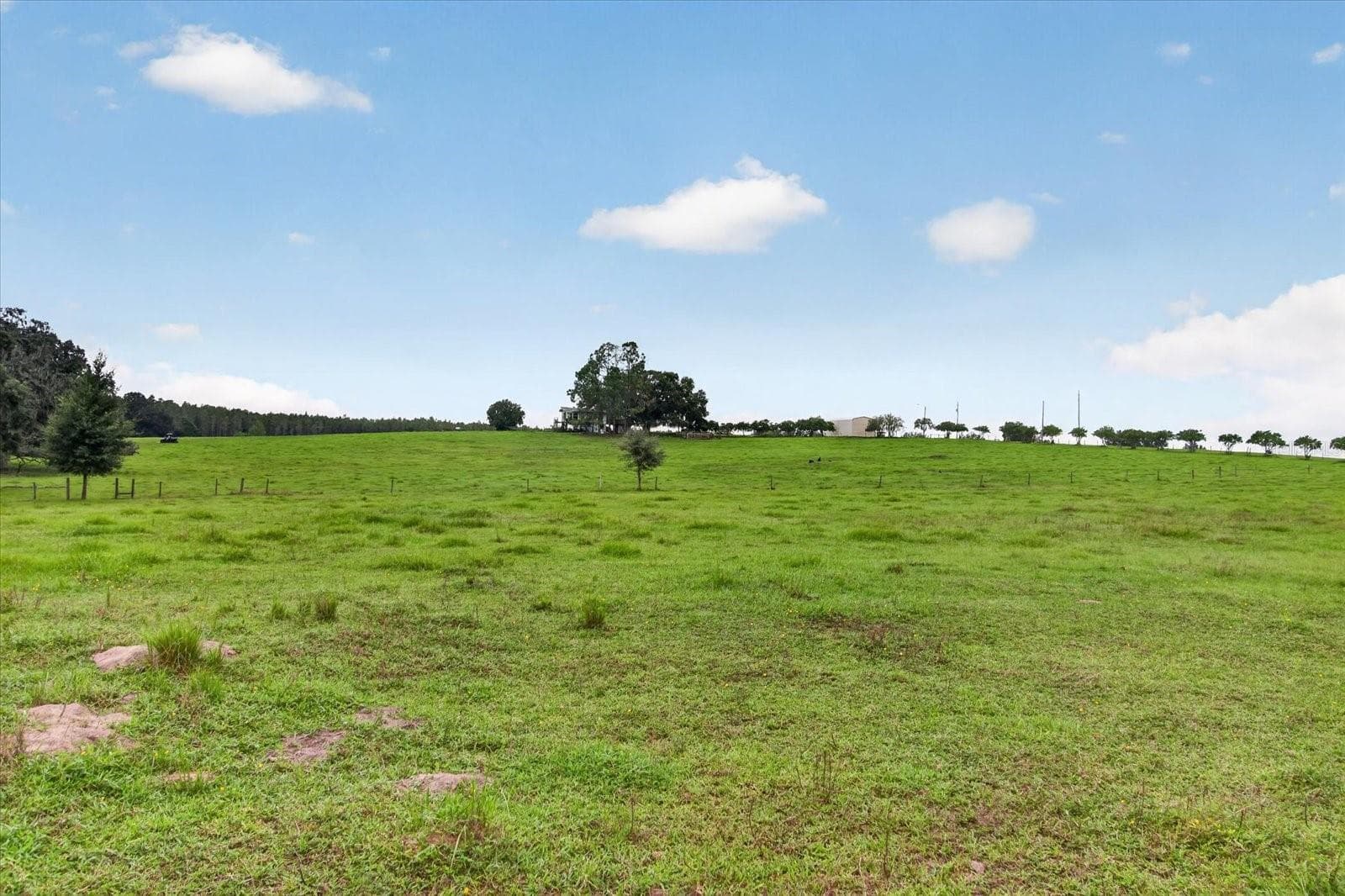 Land at 33610 KIEFER RD, WESLEY CHAPEL, photo 26 of 31