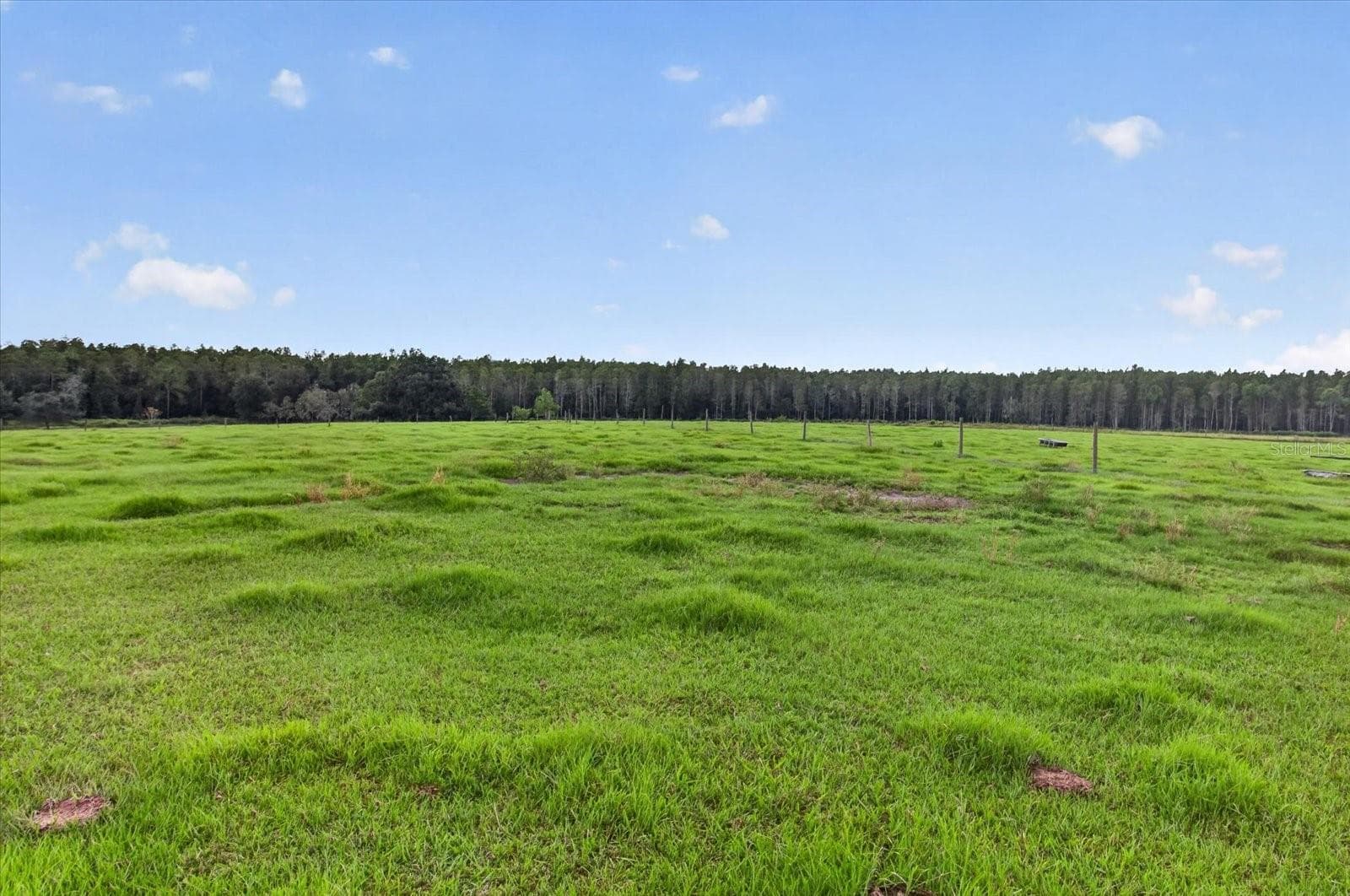 Land at 33610 KIEFER RD, WESLEY CHAPEL, photo 28 of 31