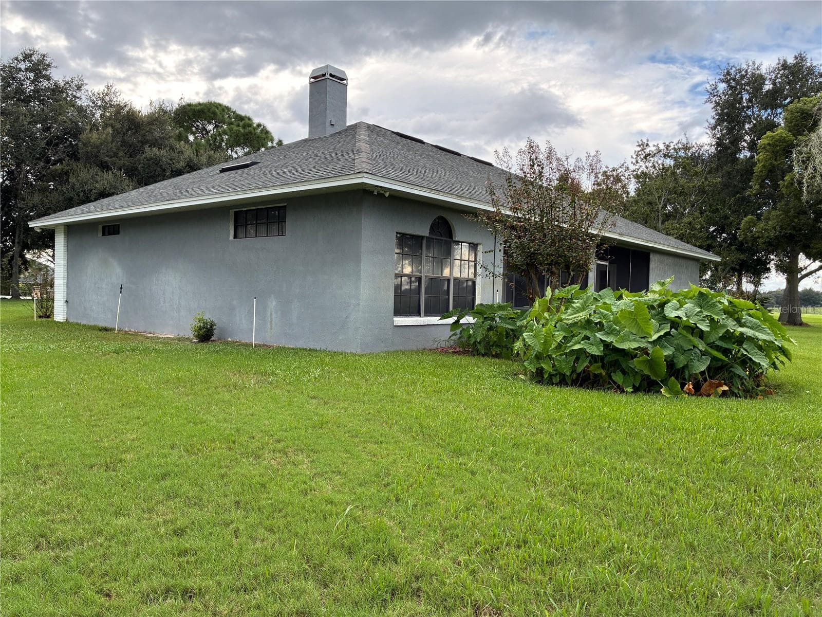 SIDE BACK YARD - 14 CRYSTAL WATERS DR, WINTER HAVEN