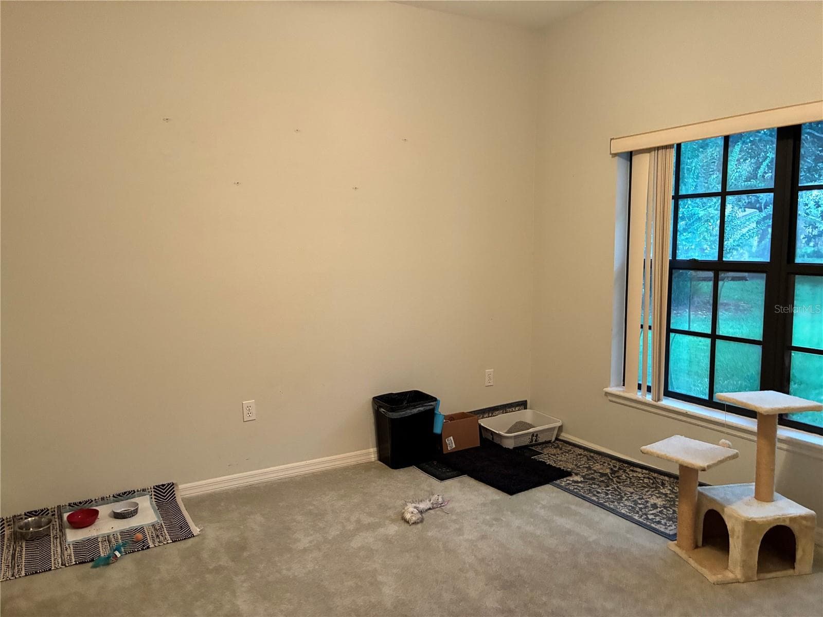 DEN/OFFICE USING AS CAT ROOM - 14 CRYSTAL WATERS DR, WINTER HAVEN