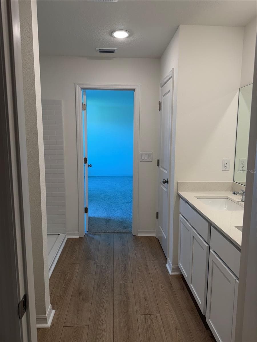 Master Bathroom - 12926 RED DEER PL, PARRISH