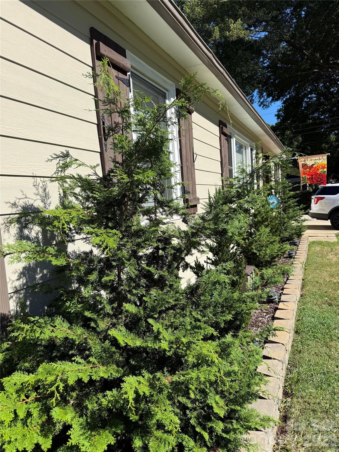 Tasteful Landscape - 9202 Elgin Drive, Charlotte