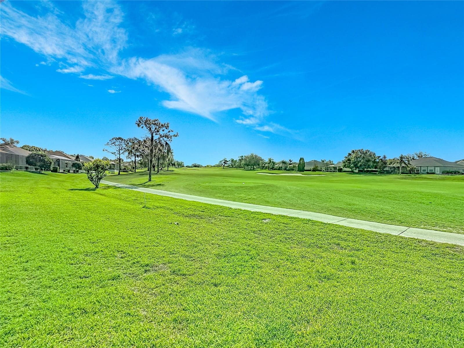 View from pool & lanai - 455 OSPREY LANDING WAY, LAKELAND