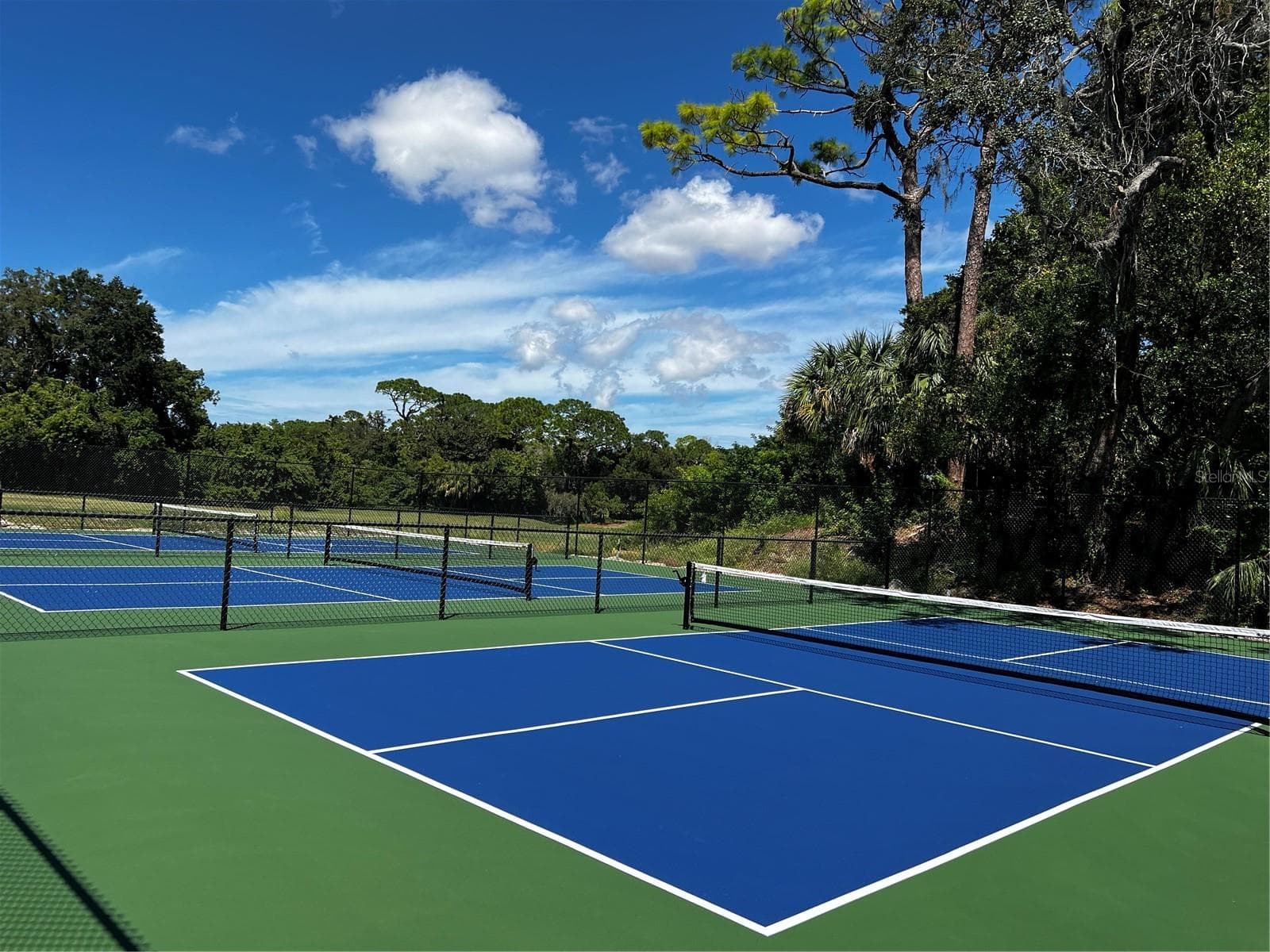 Condominium at 36750 US HIGHWAY 19 #23308, PALM HARBOR, photo 61 of 70