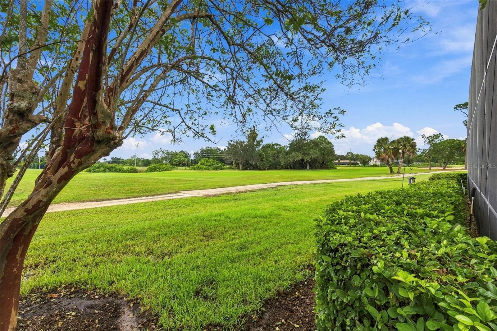 Single Family Residence at 9925 SAGO POINT DR, SEMINOLE, photo 51 of 64