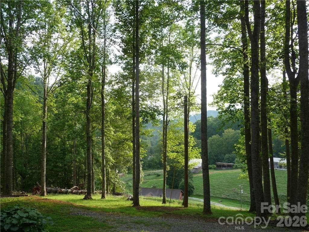 Acreage at 0 Joe Shoemaker Road, Vilas, photo 2 of 42