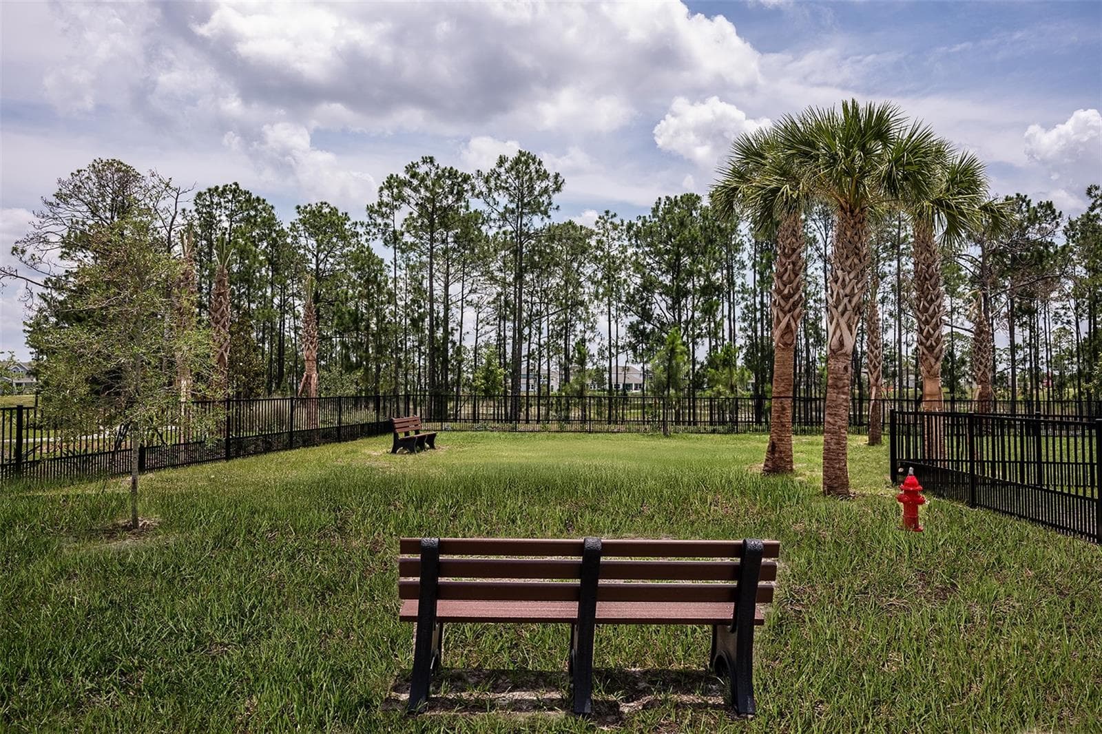 Harvest at Ovation Community - 14775 FIELD DAISY DR, WINTER GARDEN